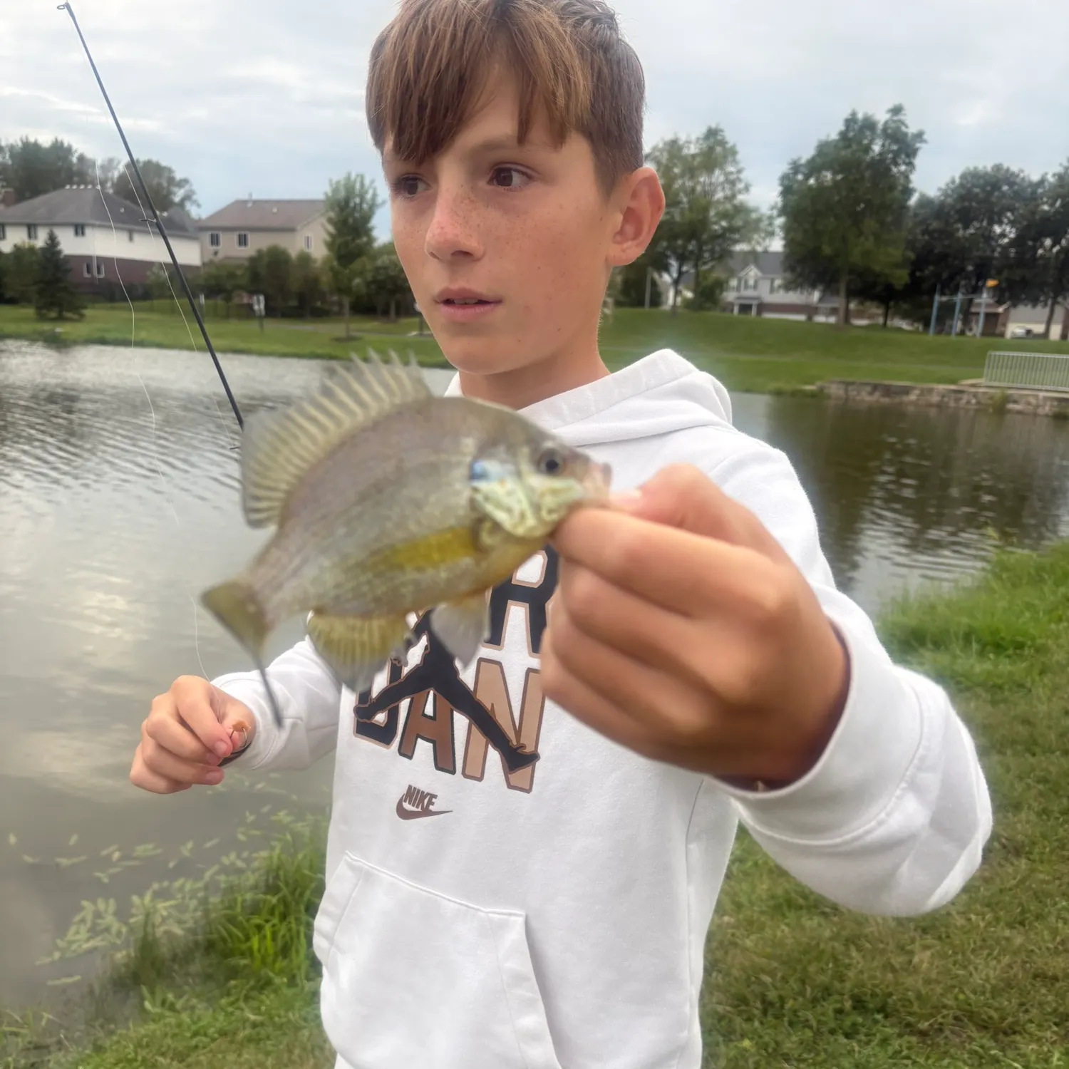 Bluegill caught on Fishbrain