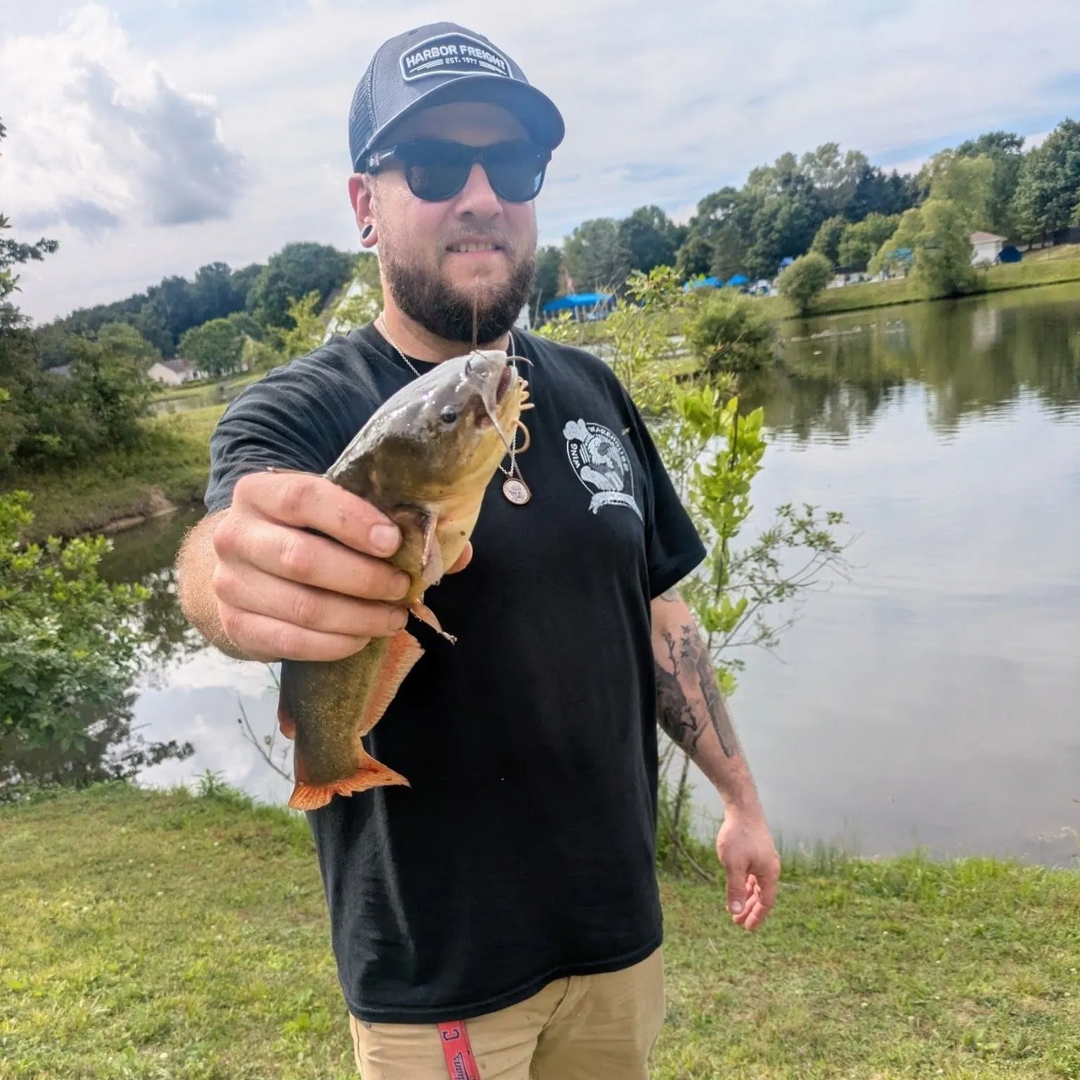 Yellow bullhead caught on Fishbrain