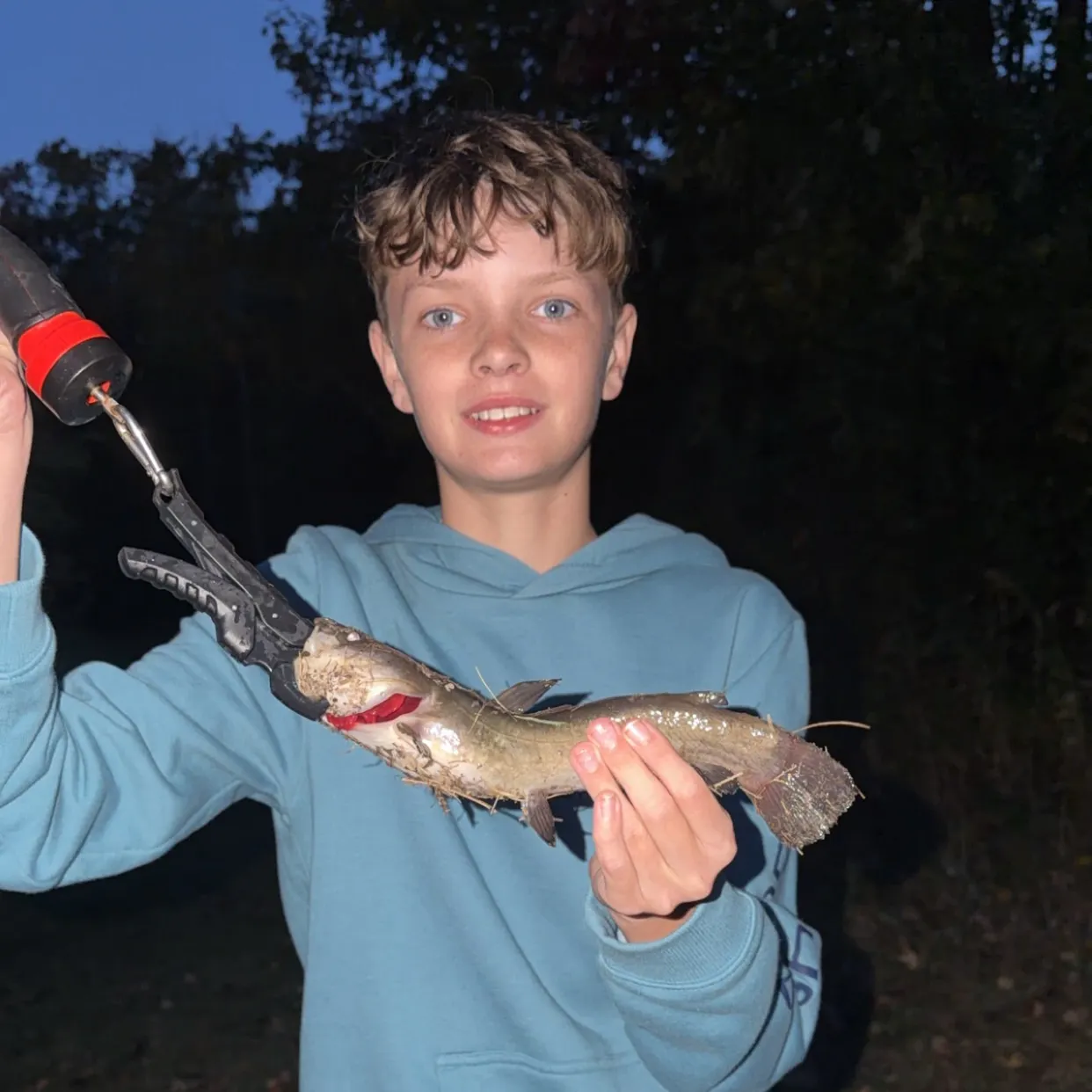 Yellow bullhead caught on Fishbrain