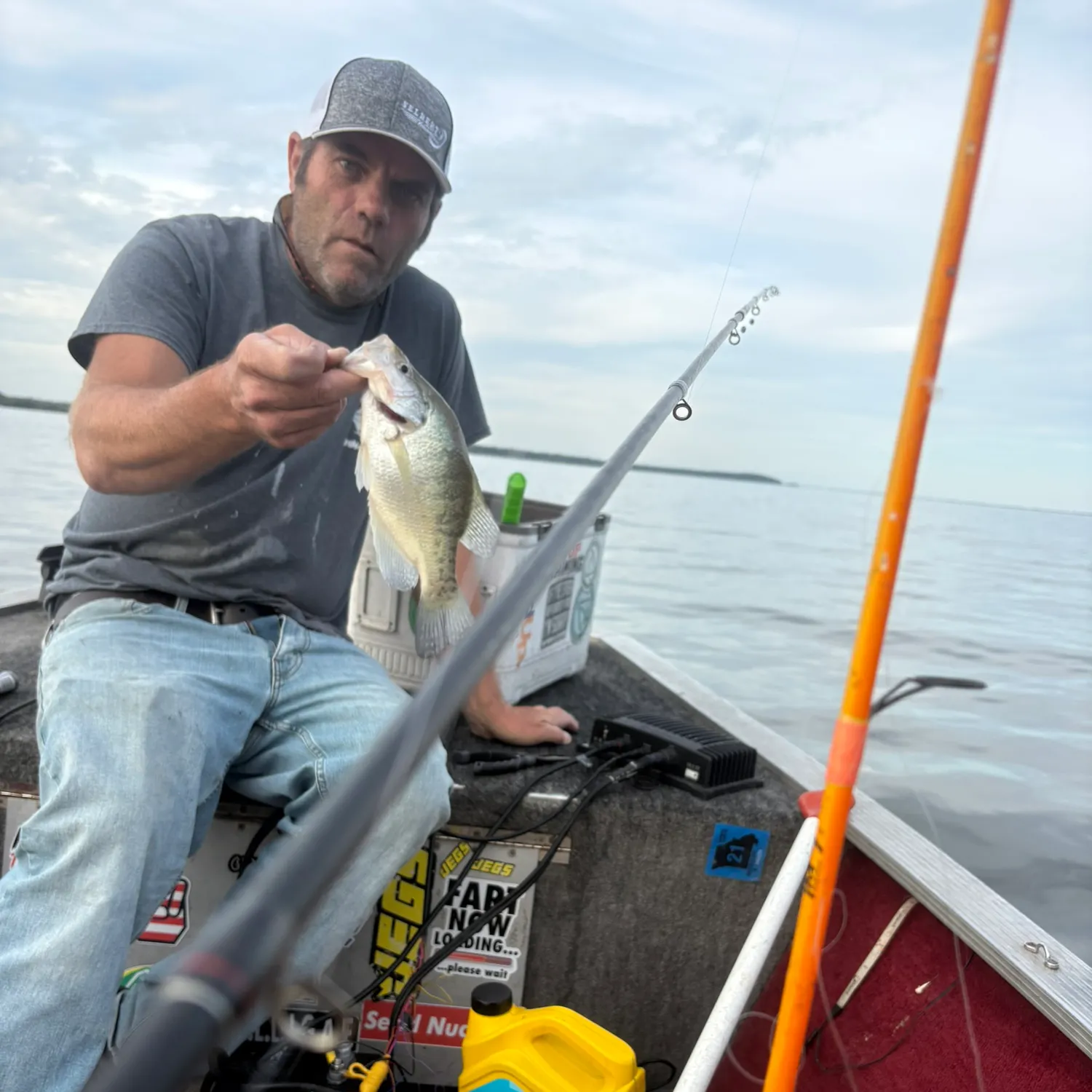 White crappie caught on Fishbrain