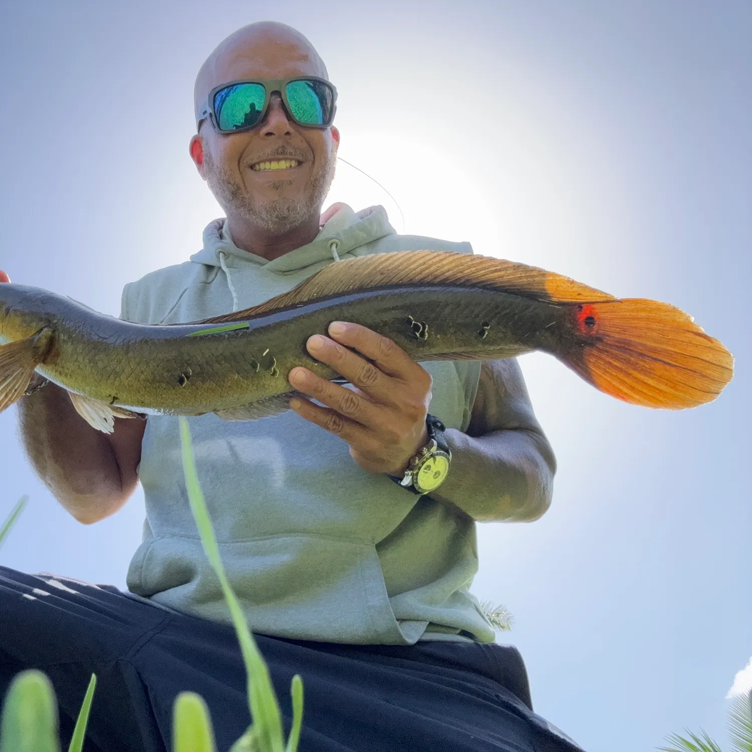 The most recent Bullseye snakehead catches on Fishbrain