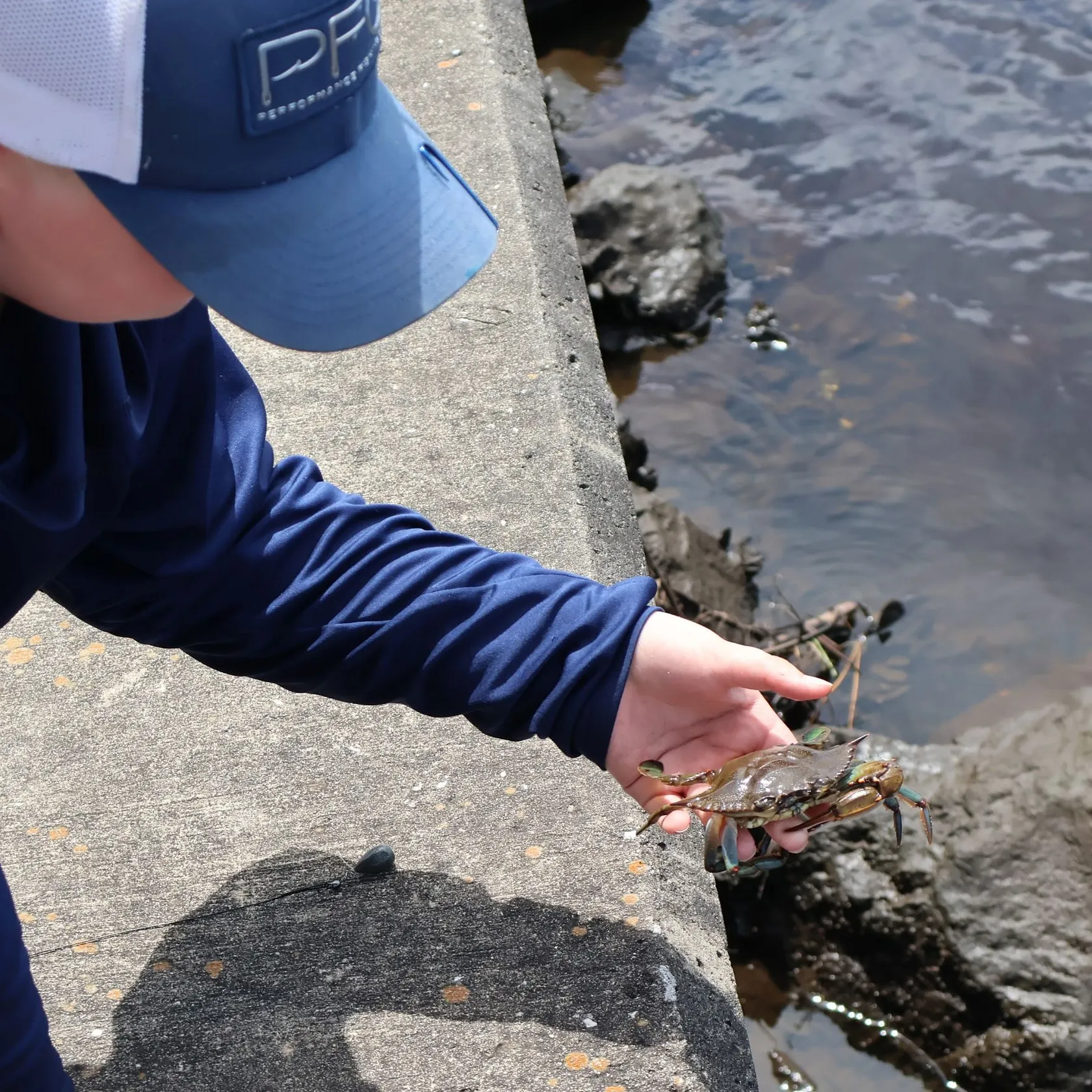 Fish caught on Fishbrain
