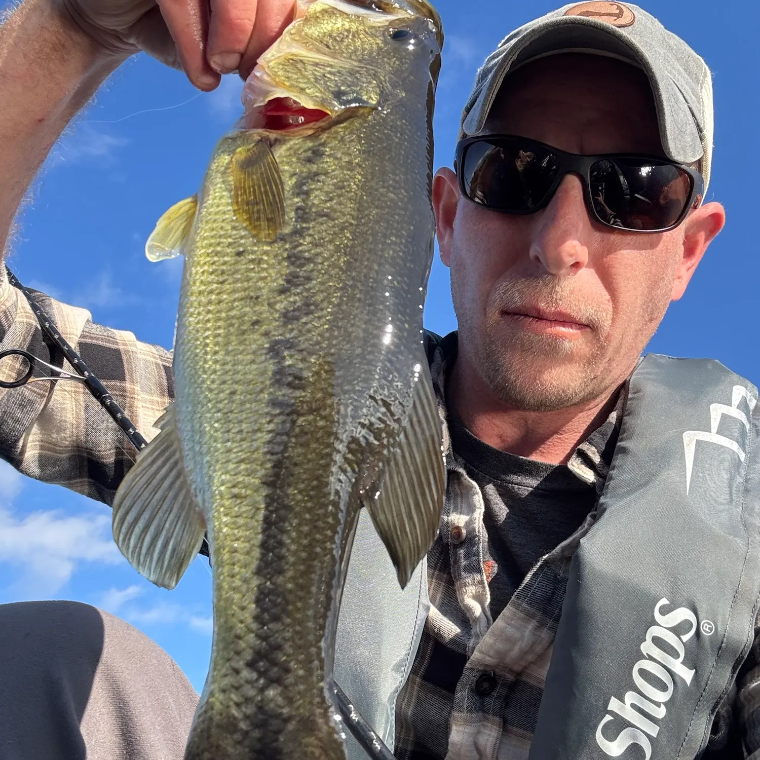 Largemouth bass caught on Fishbrain