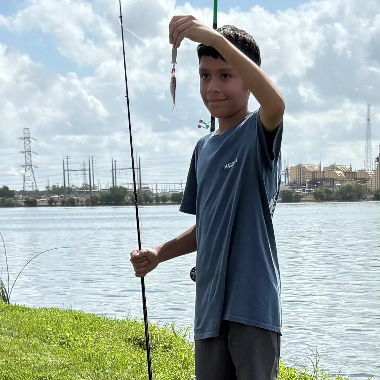 The most recent American gizzard shad catches on Fishbrain