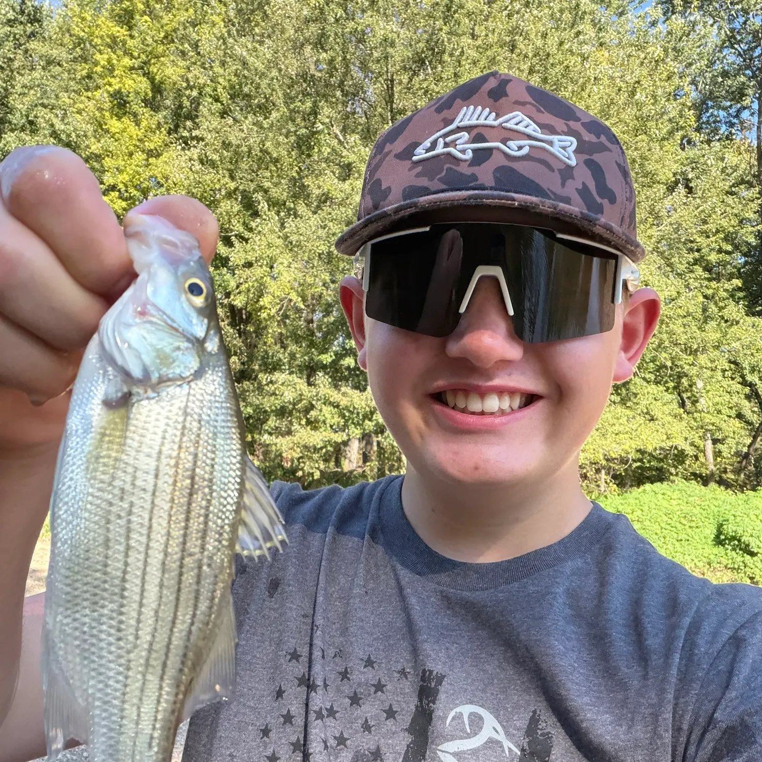 White bass caught on Fishbrain