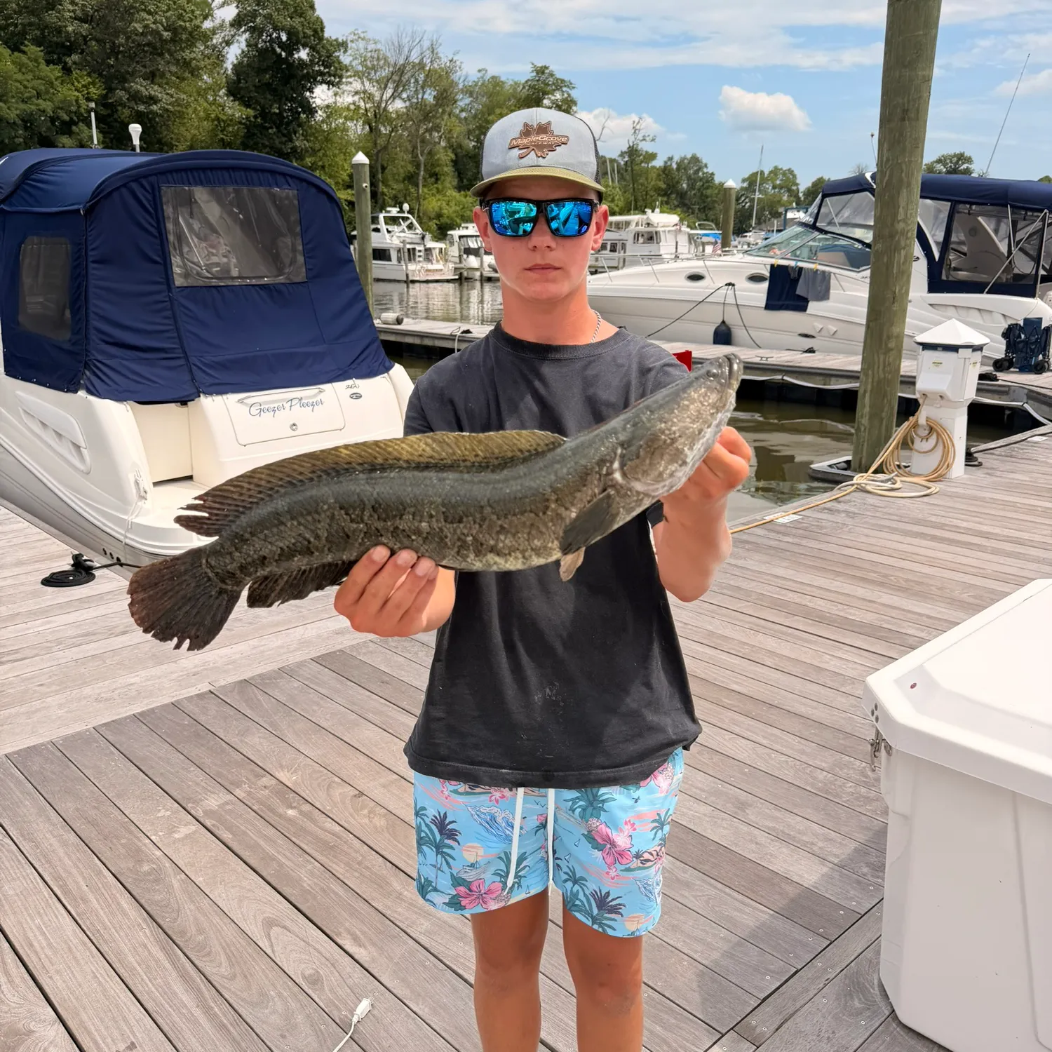 recently logged catches