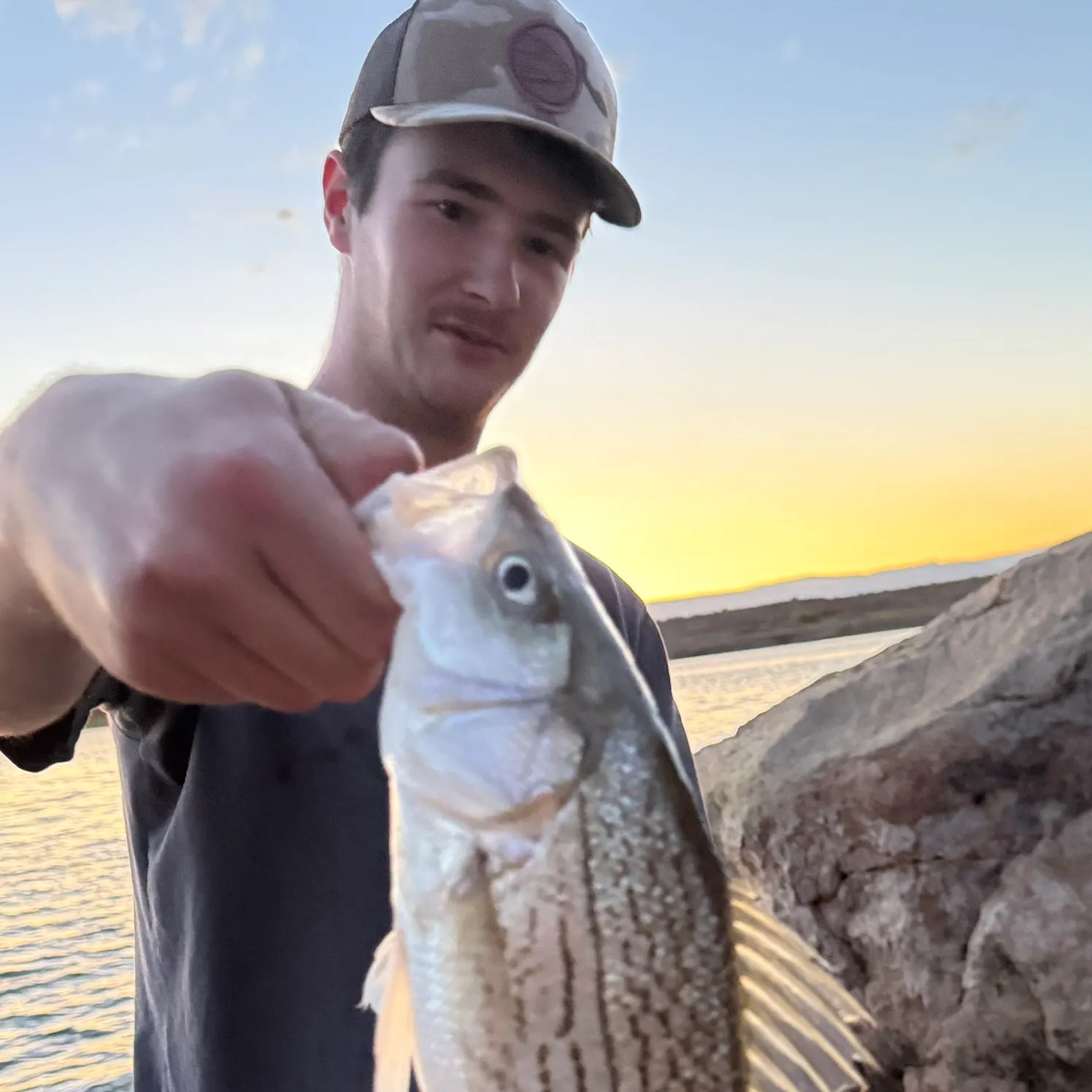The most recent Hybrid striped bass catches on Fishbrain