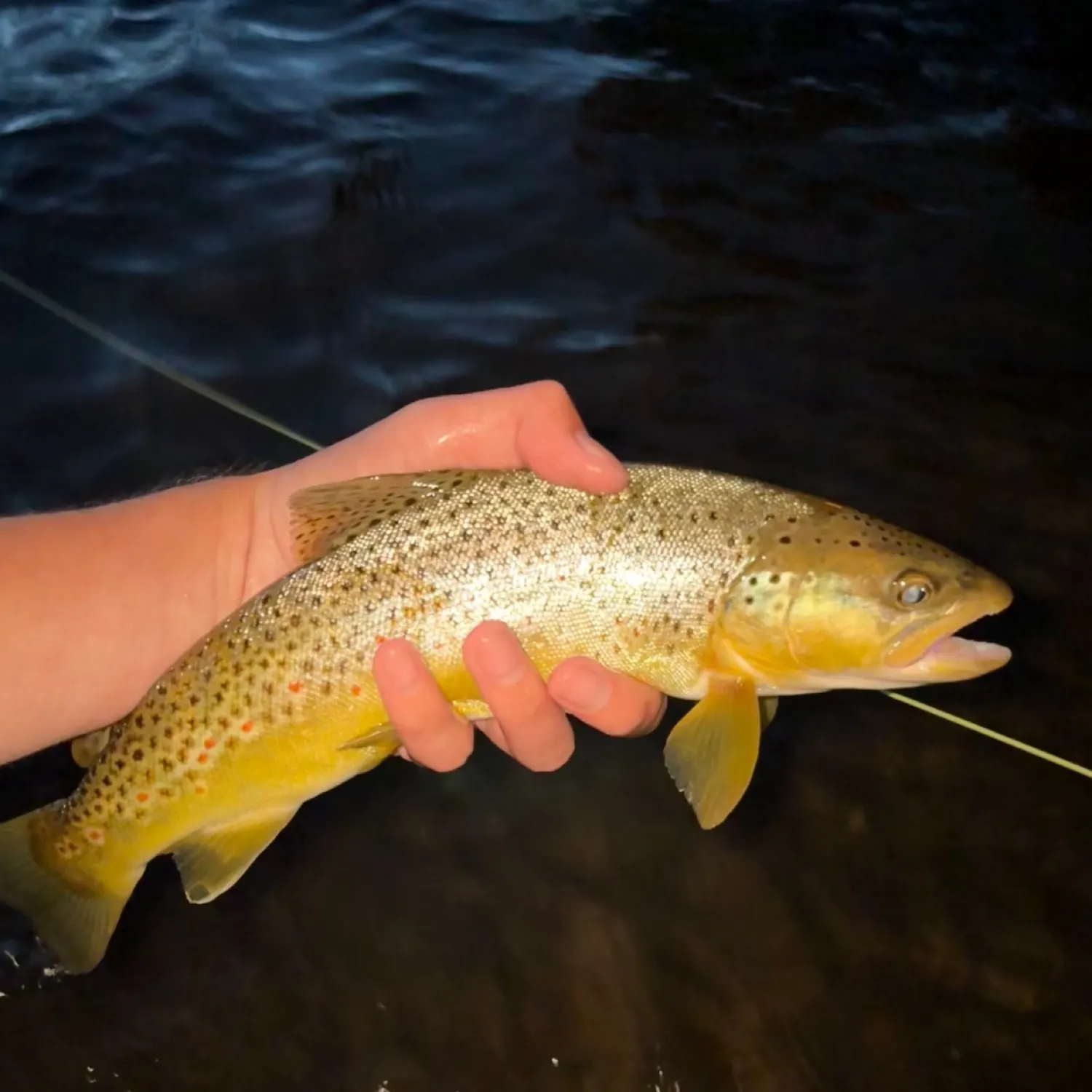 most liked catch image