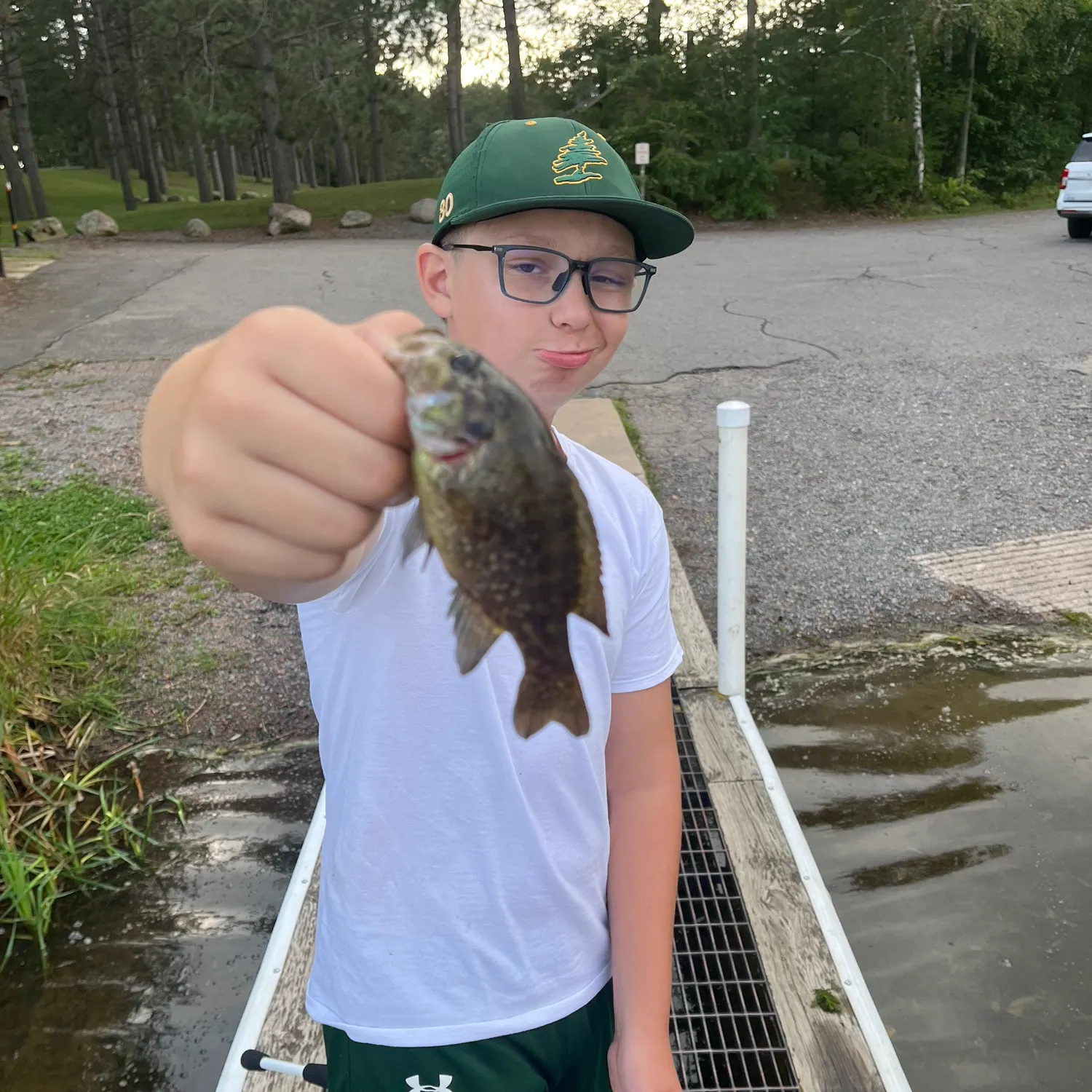 Warmouth caught on Fishbrain
