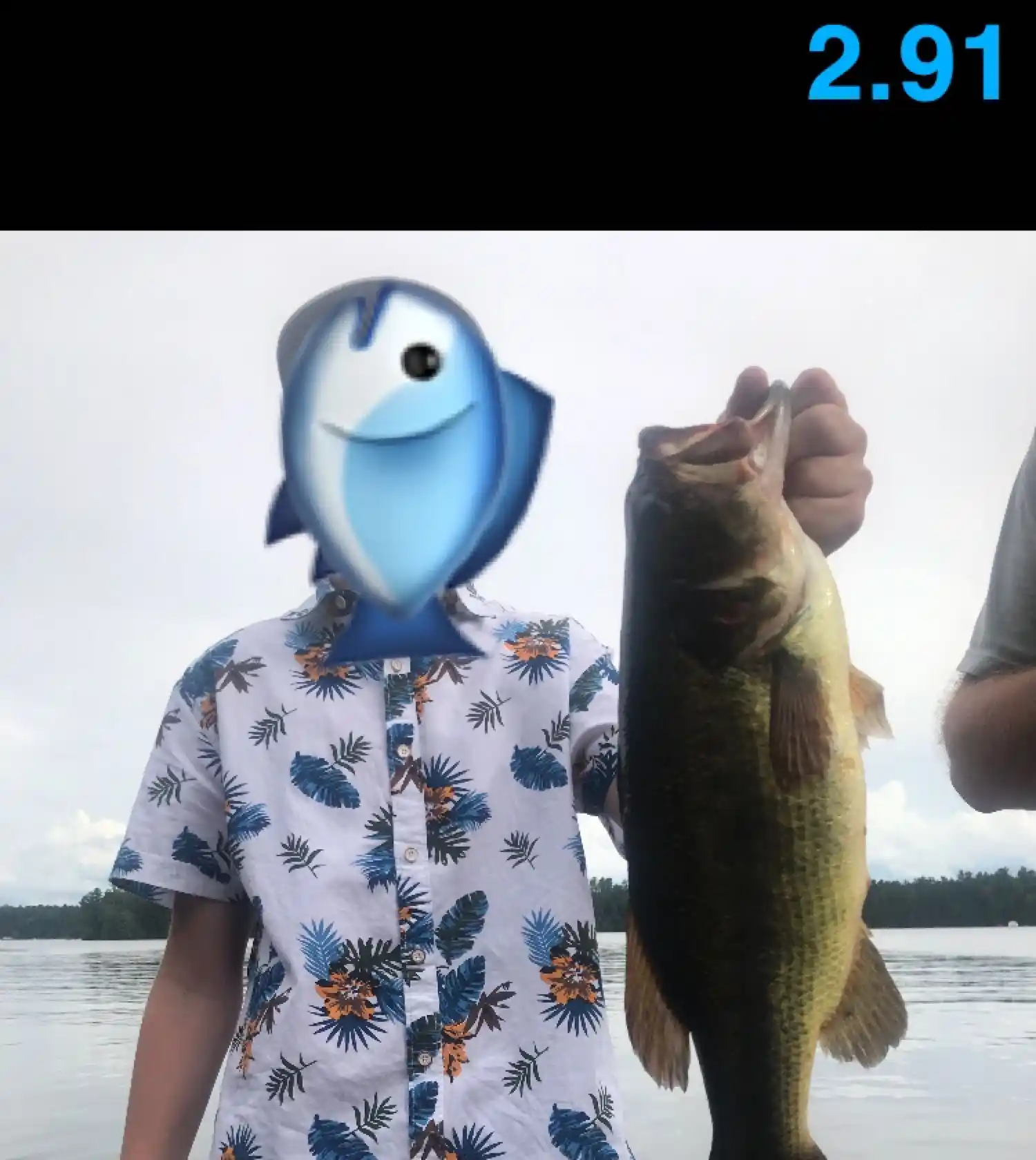 most liked catch image