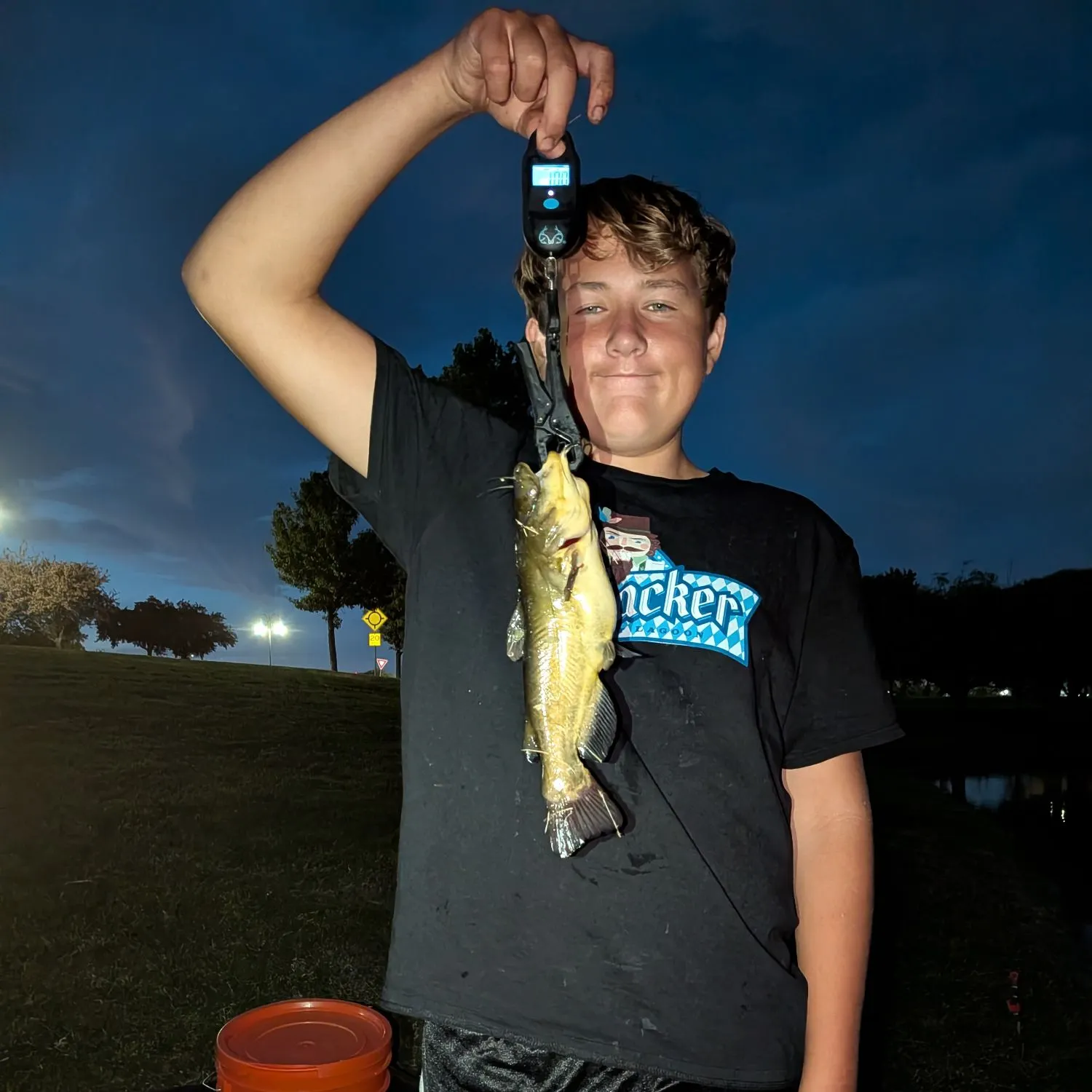 Yellow bullhead caught on Fishbrain