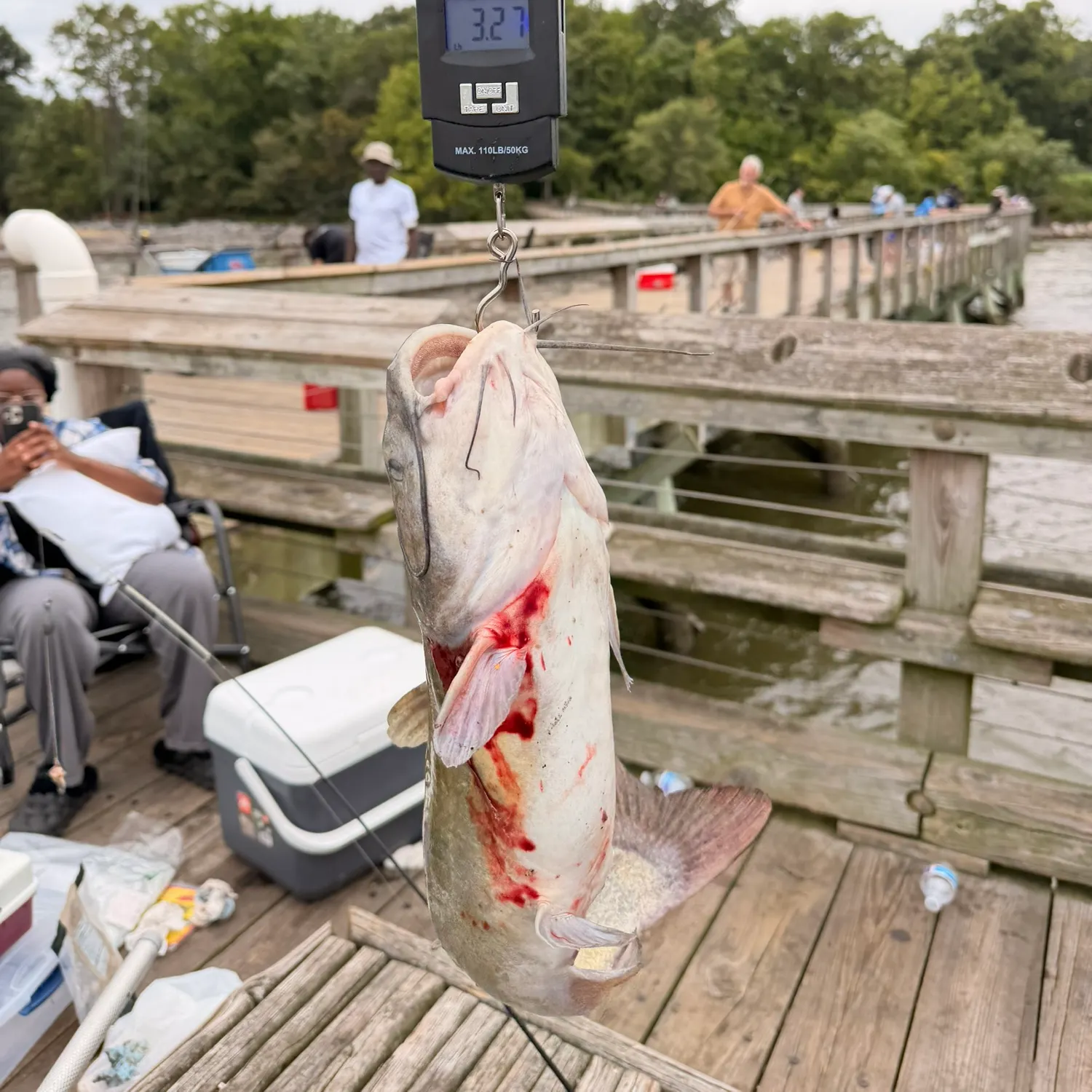 Fish caught on Fishbrain