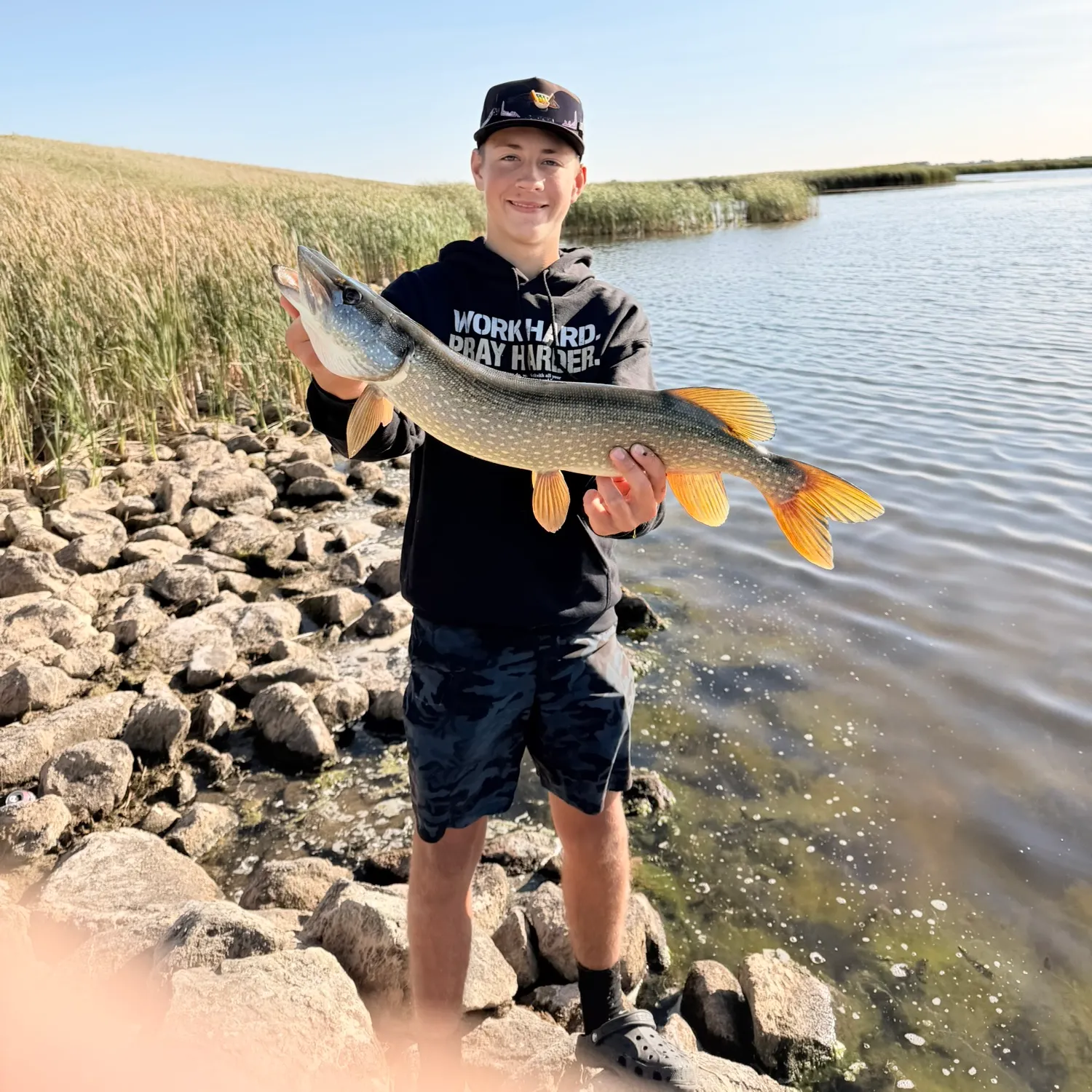 Northern pike caught on Fishbrain