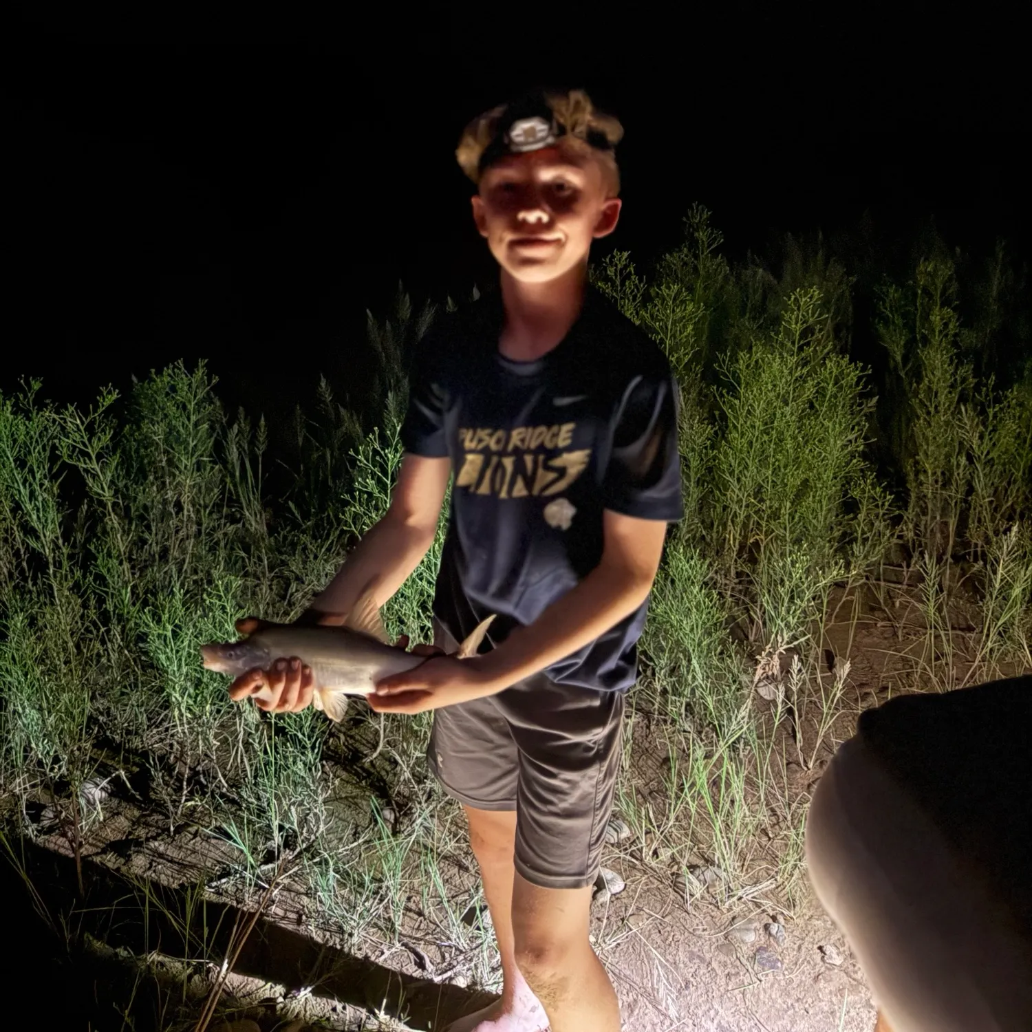 The most recent Humpback chub catches on Fishbrain