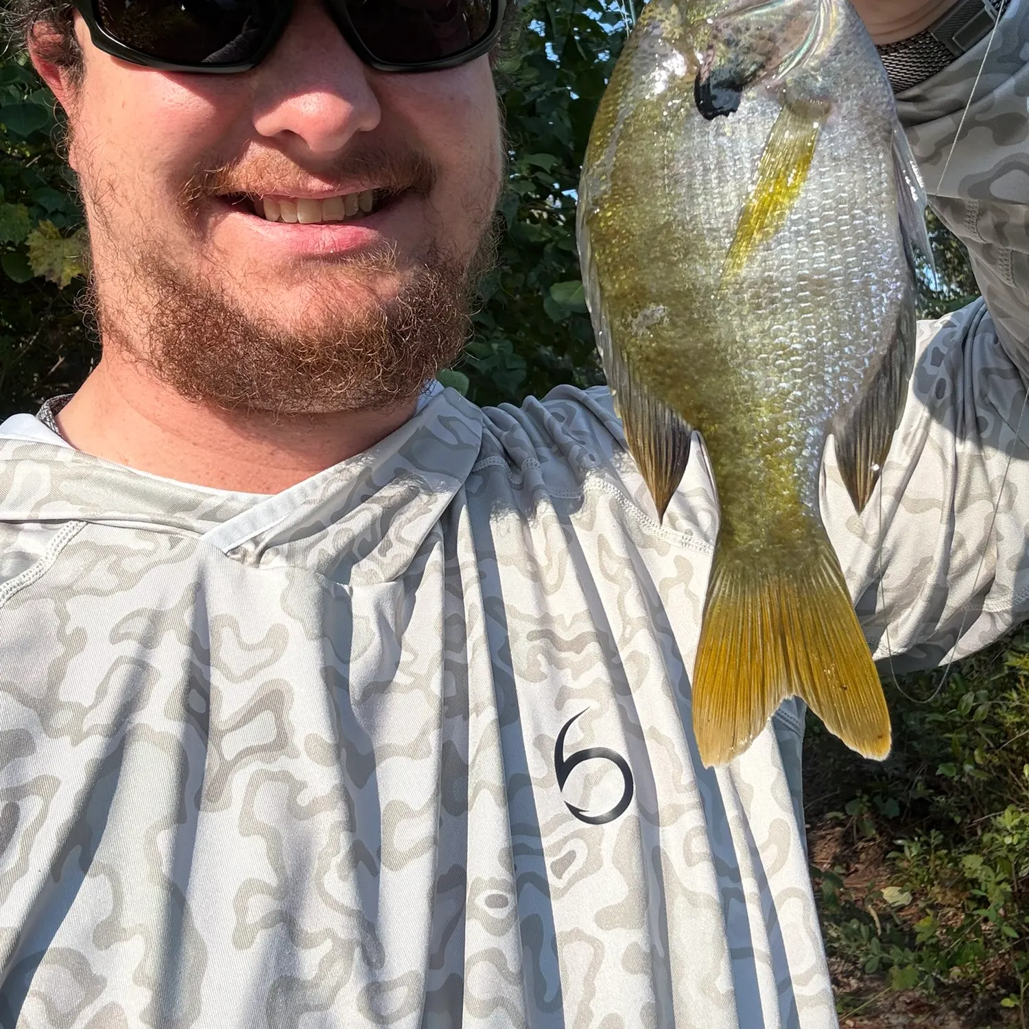 Bluegill caught on Fishbrain