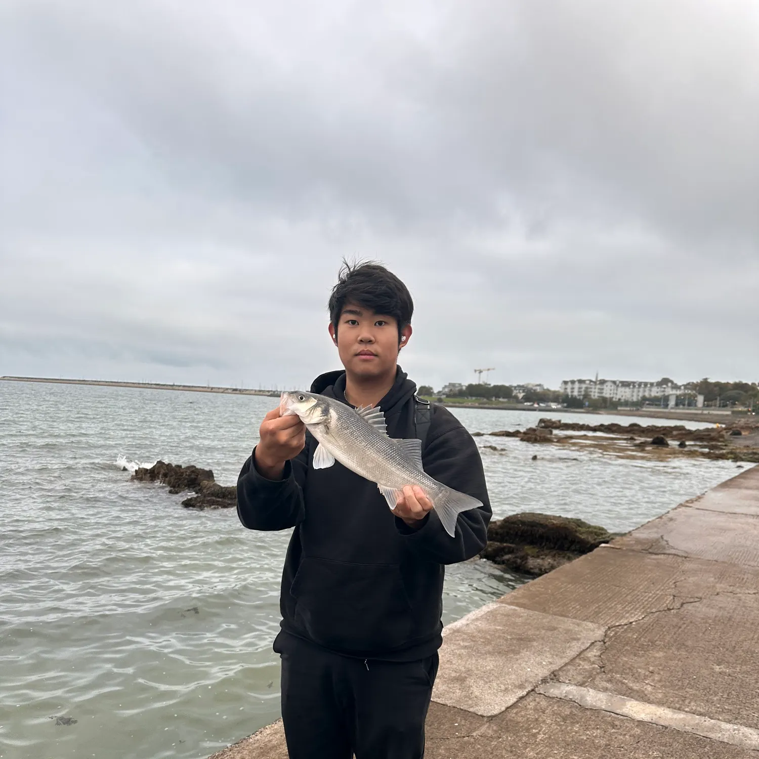 The most recent European seabass catches on Fishbrain