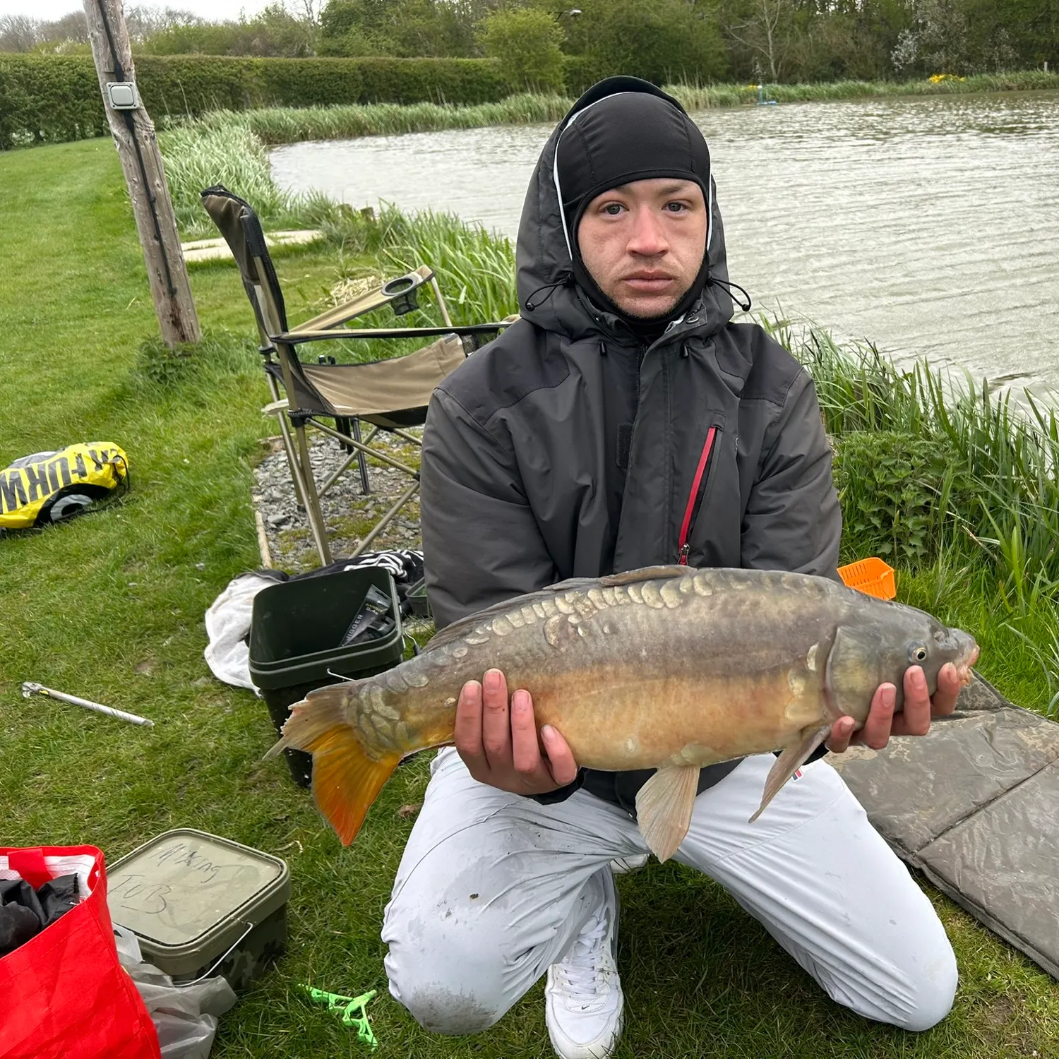Mirror carp caught on Fishbrain