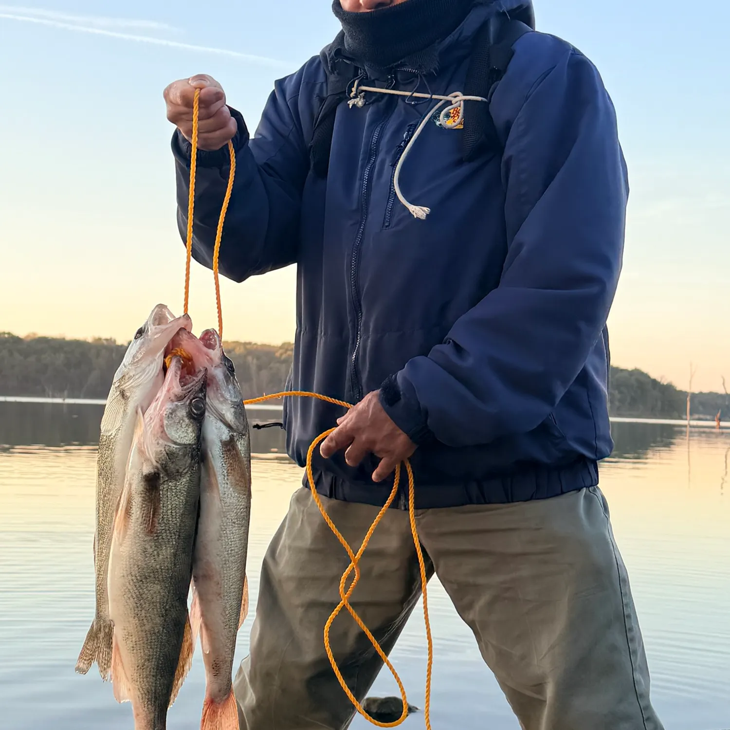 Walleye caught on Fishbrain