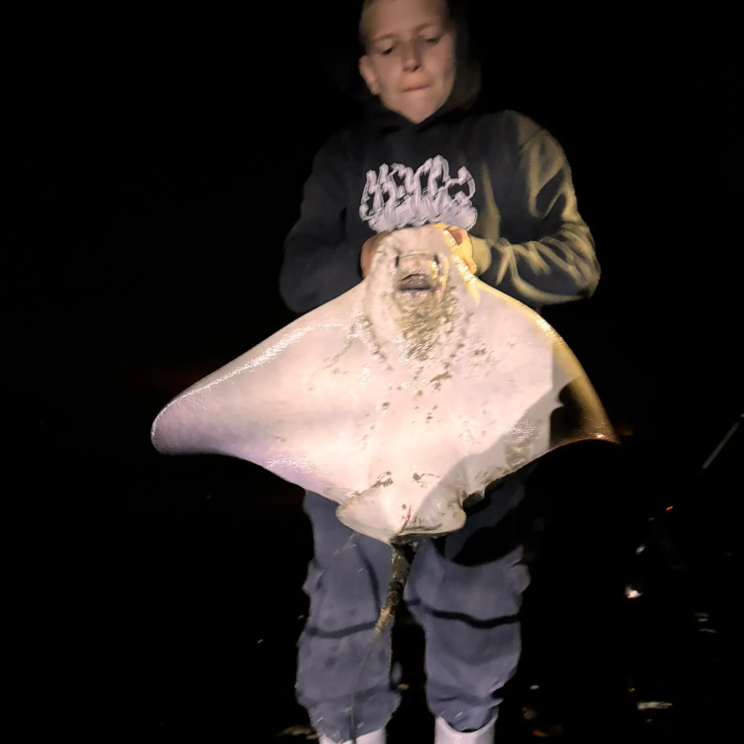 The most recent Bat eagle ray catches on Fishbrain