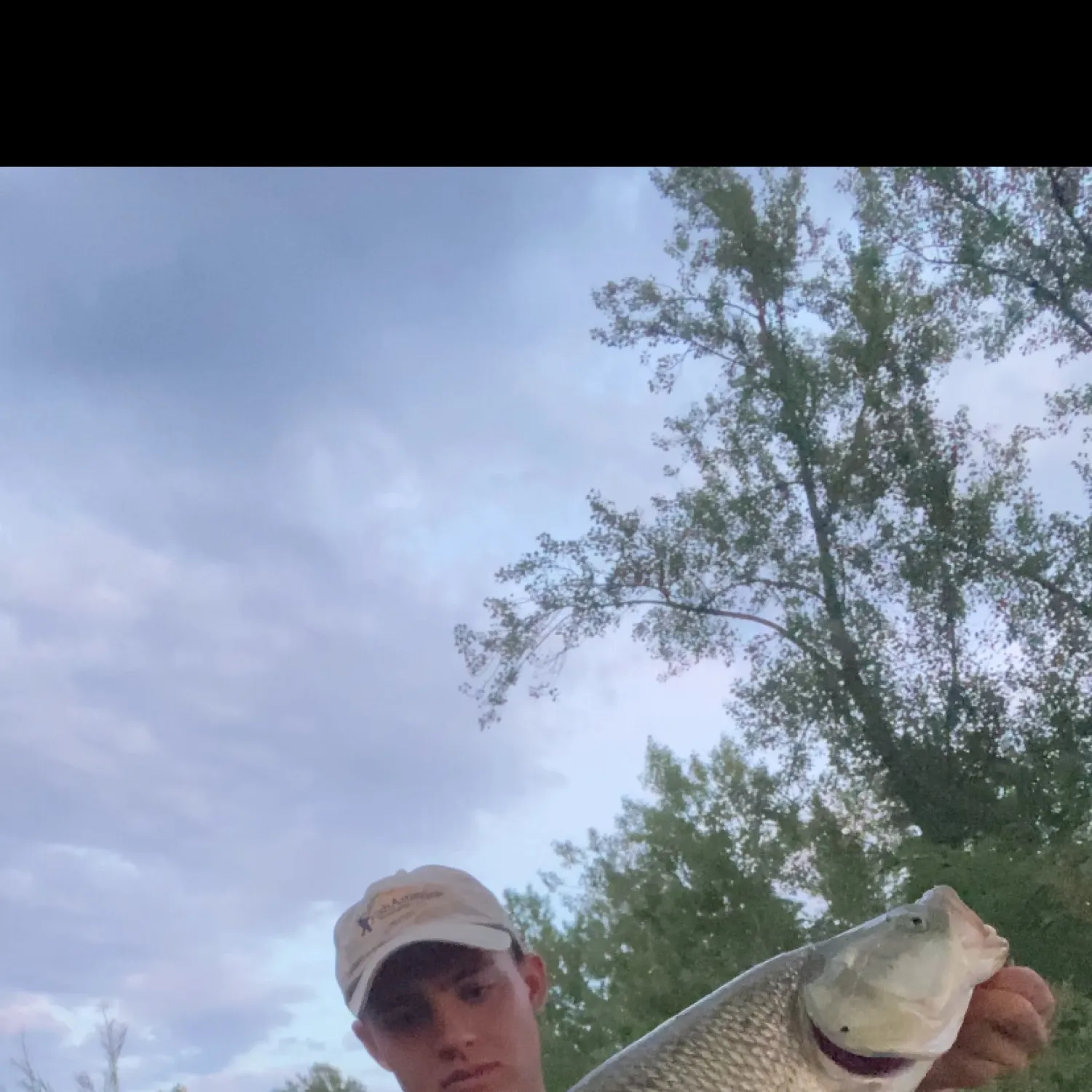 The most recent Asp catches on Fishbrain