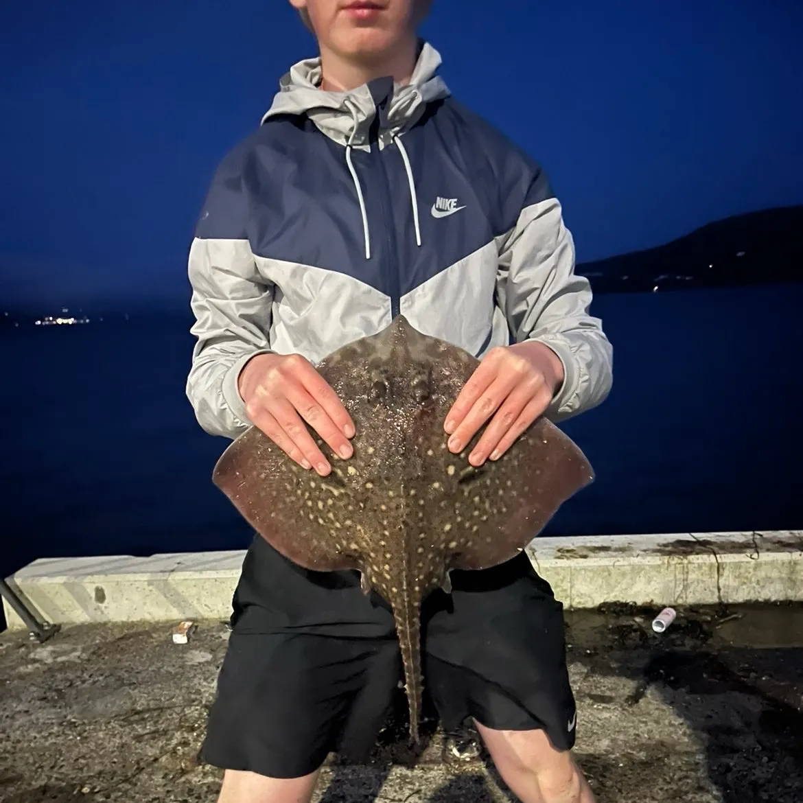 The most recent Thornback ray catches on Fishbrain