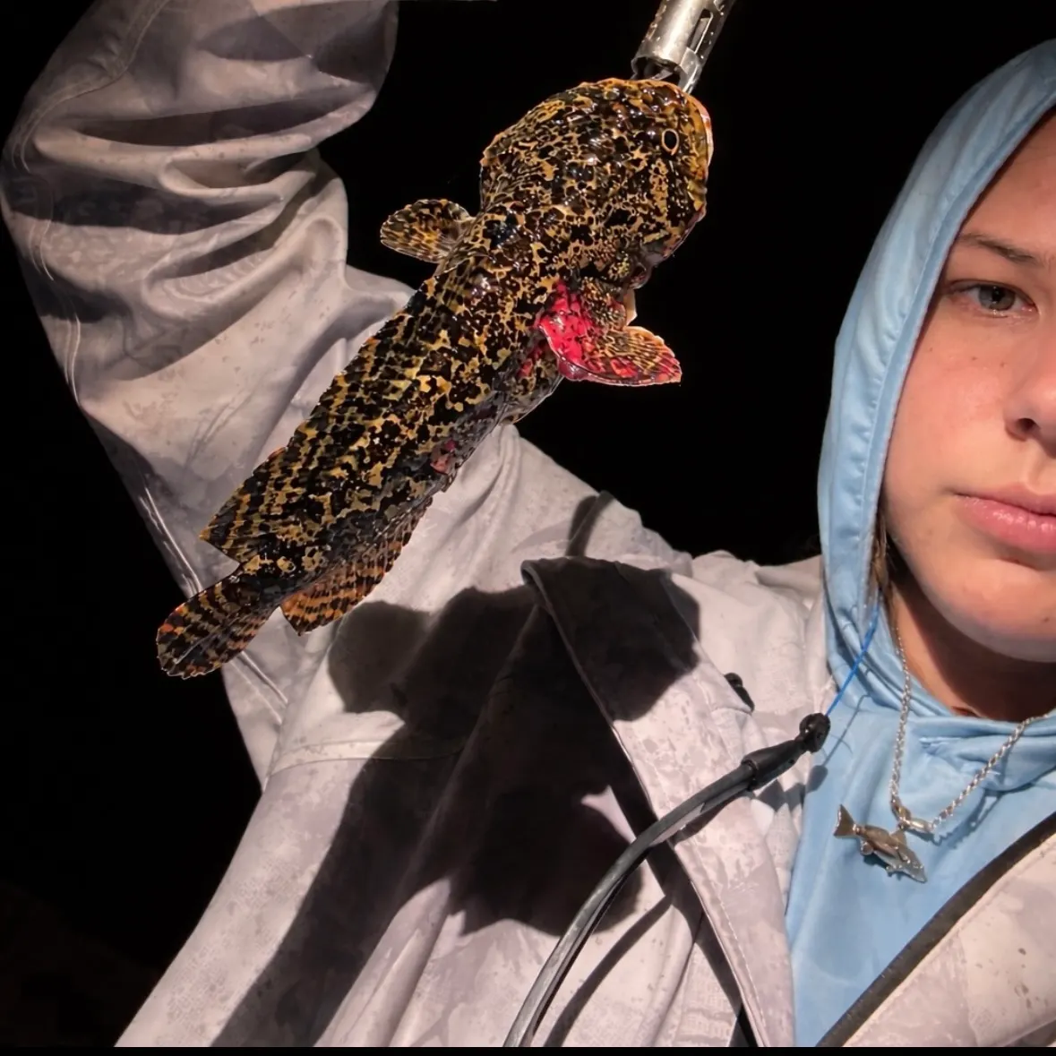 The most recent Gulf toadfish catches on Fishbrain