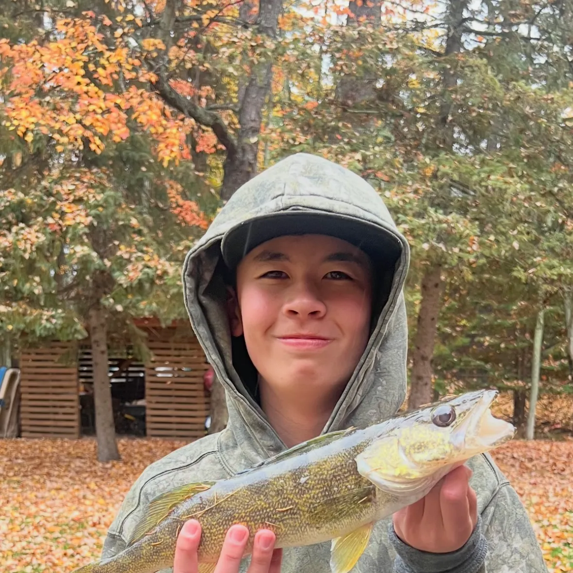 Walleye caught on Fishbrain