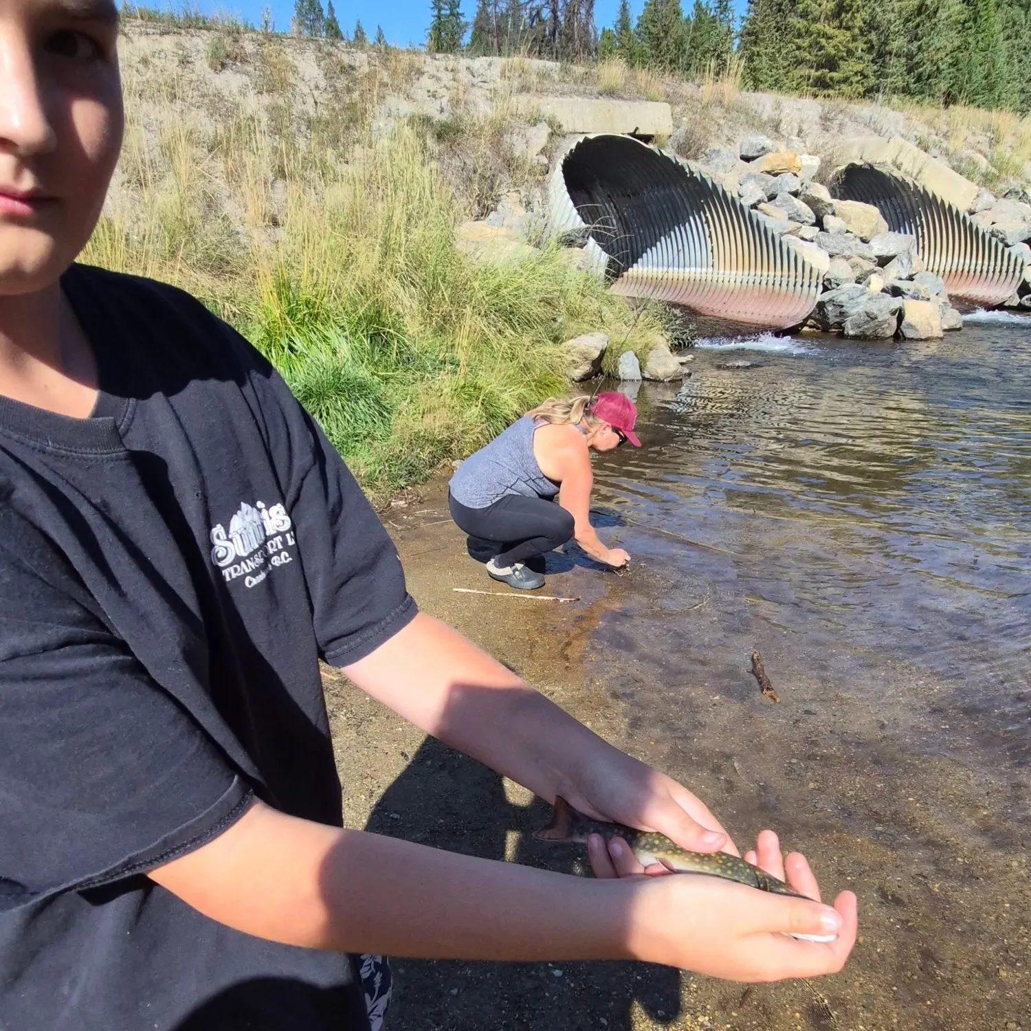 Brook trout caught on Fishbrain