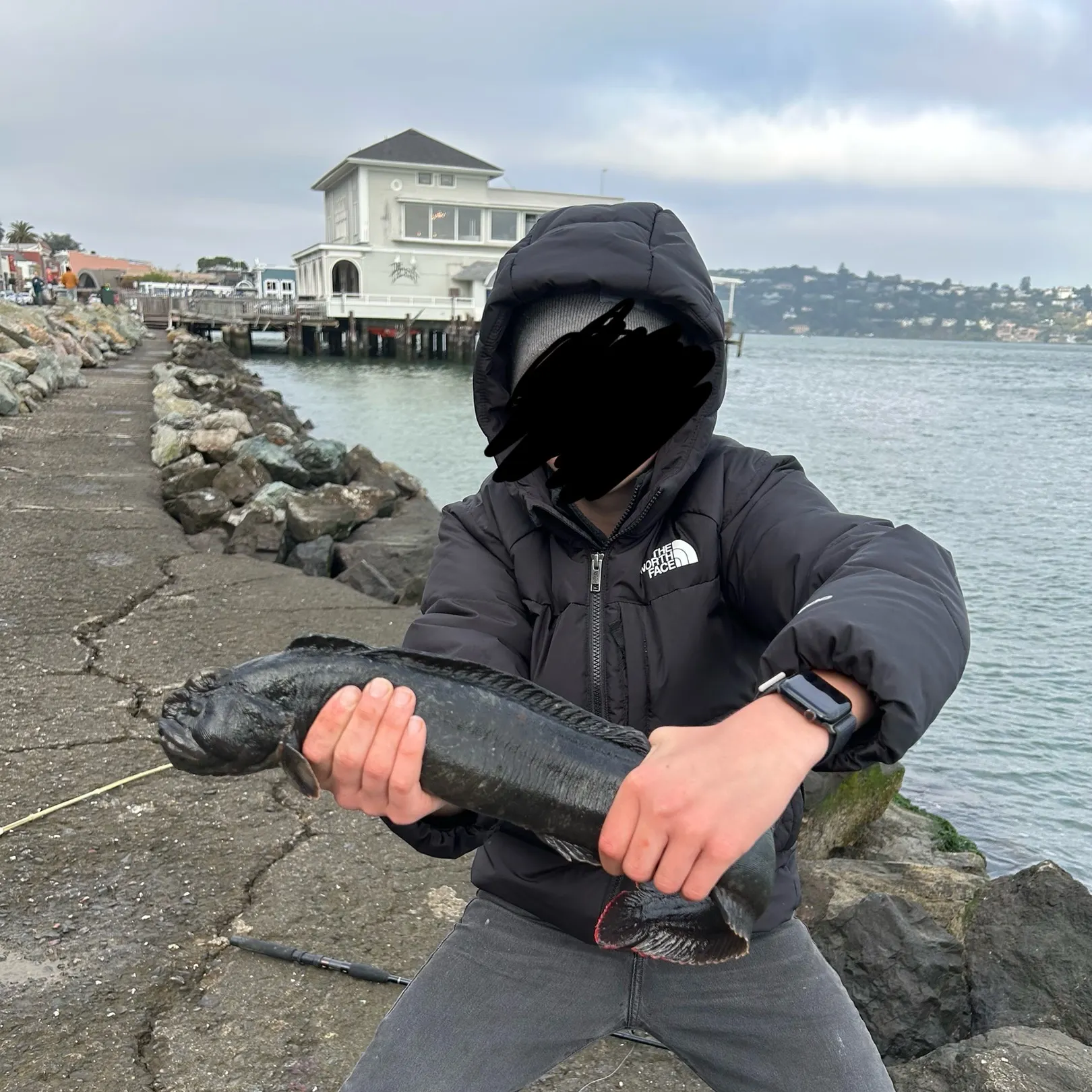 The most recent Monkeyface prickleback catches on Fishbrain