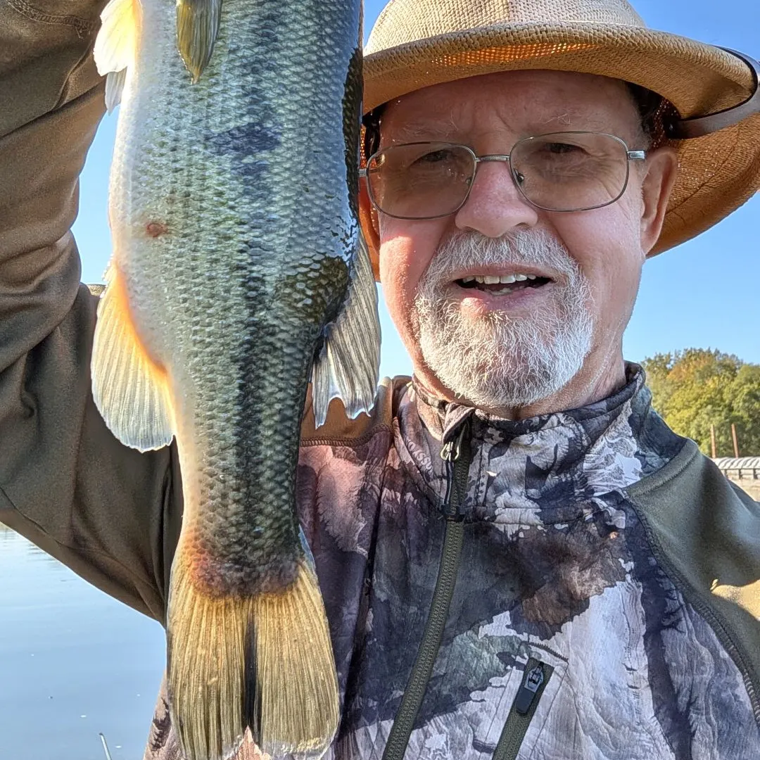 Largemouth bass caught on Fishbrain