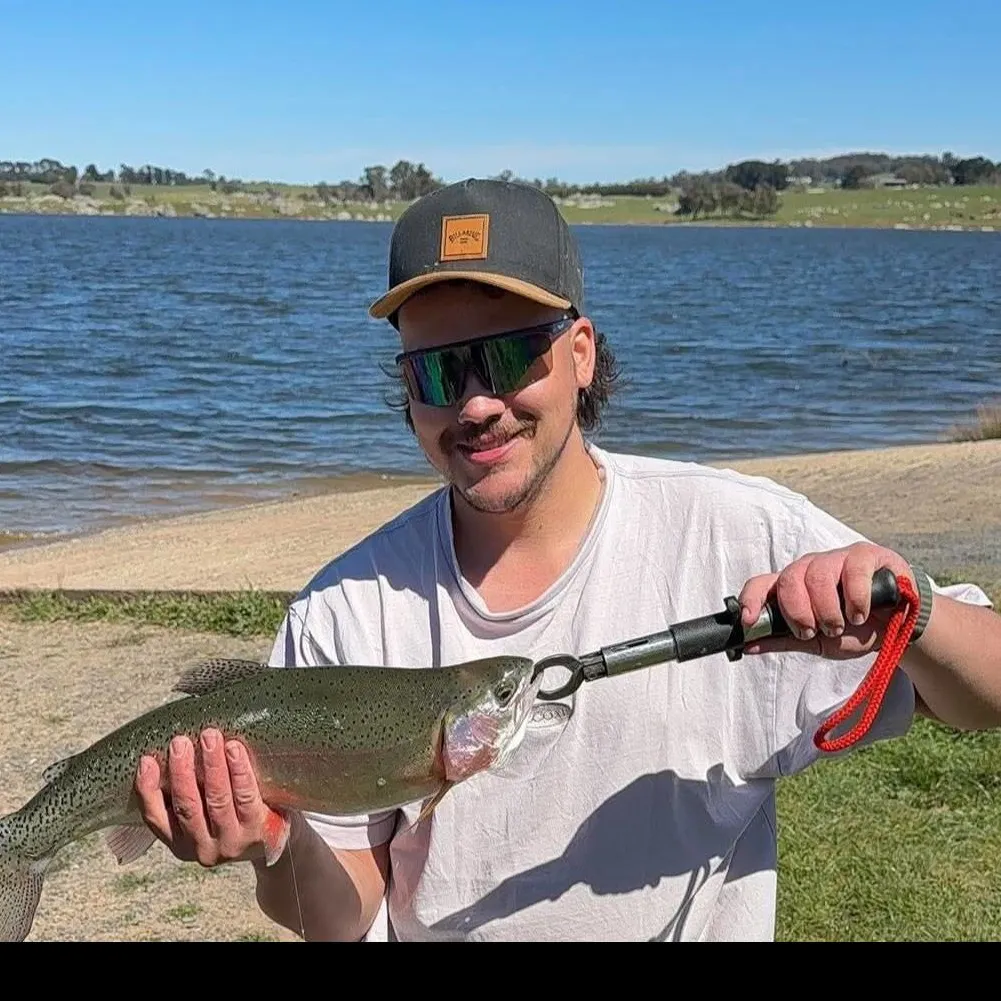 Rainbow trout caught on Fishbrain