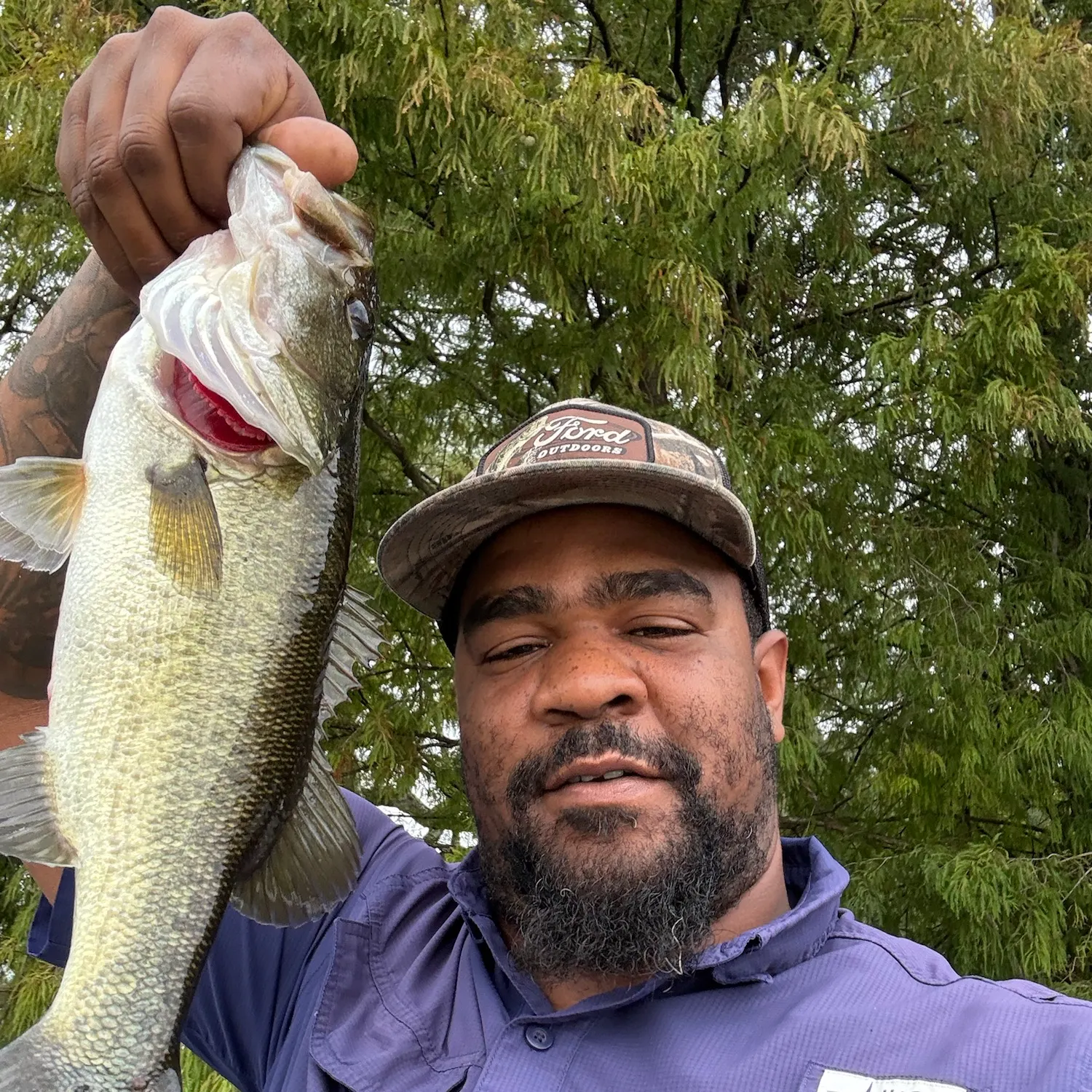 Largemouth bass caught on Fishbrain