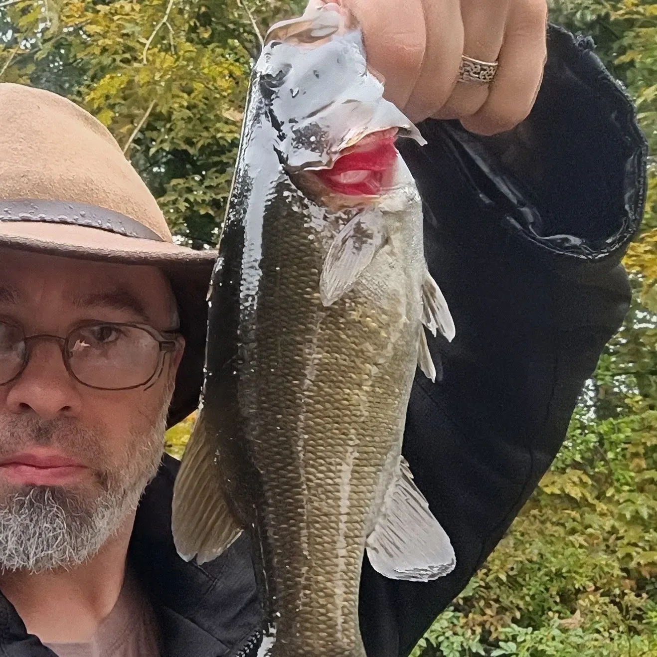 Smallmouth bass caught on Fishbrain