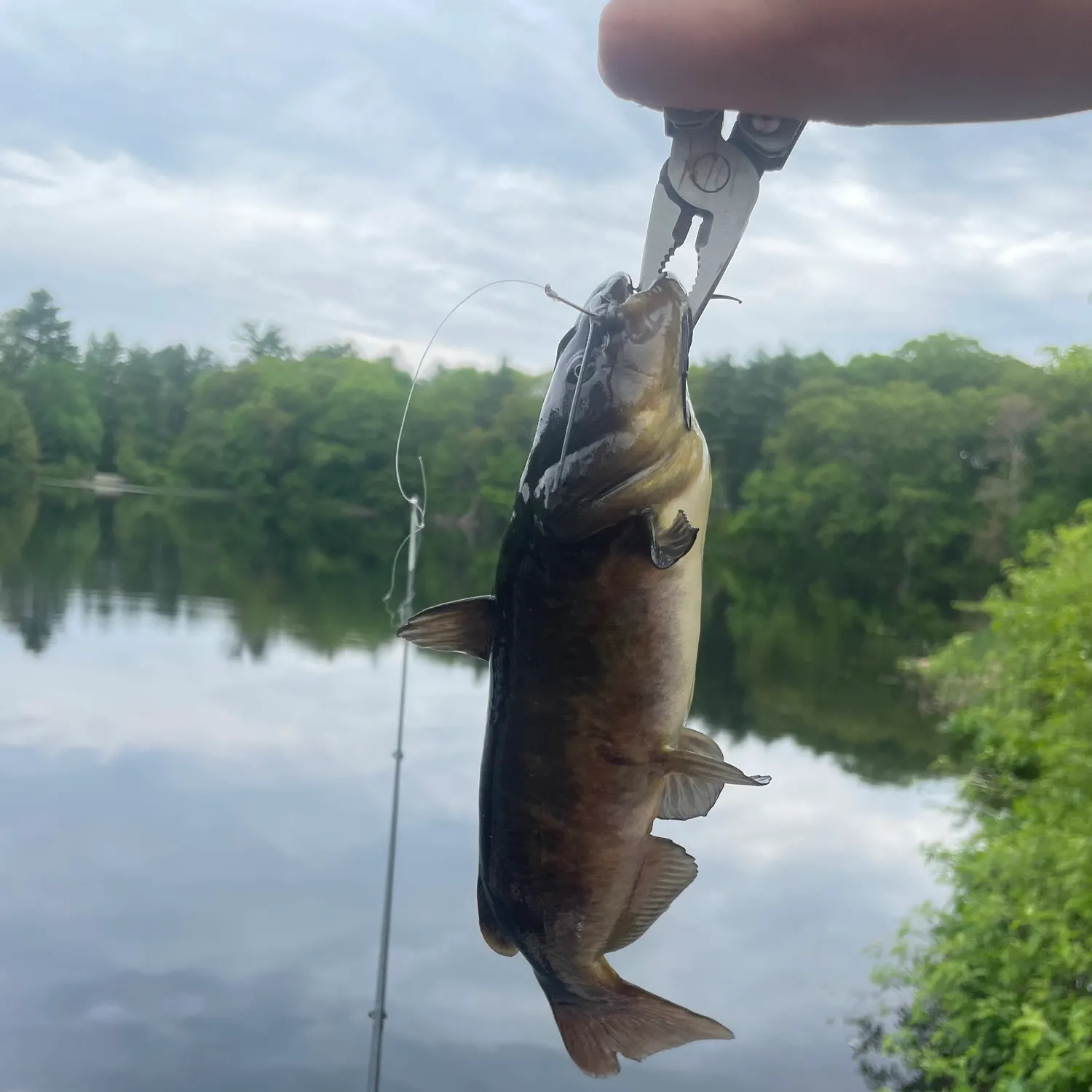 catch