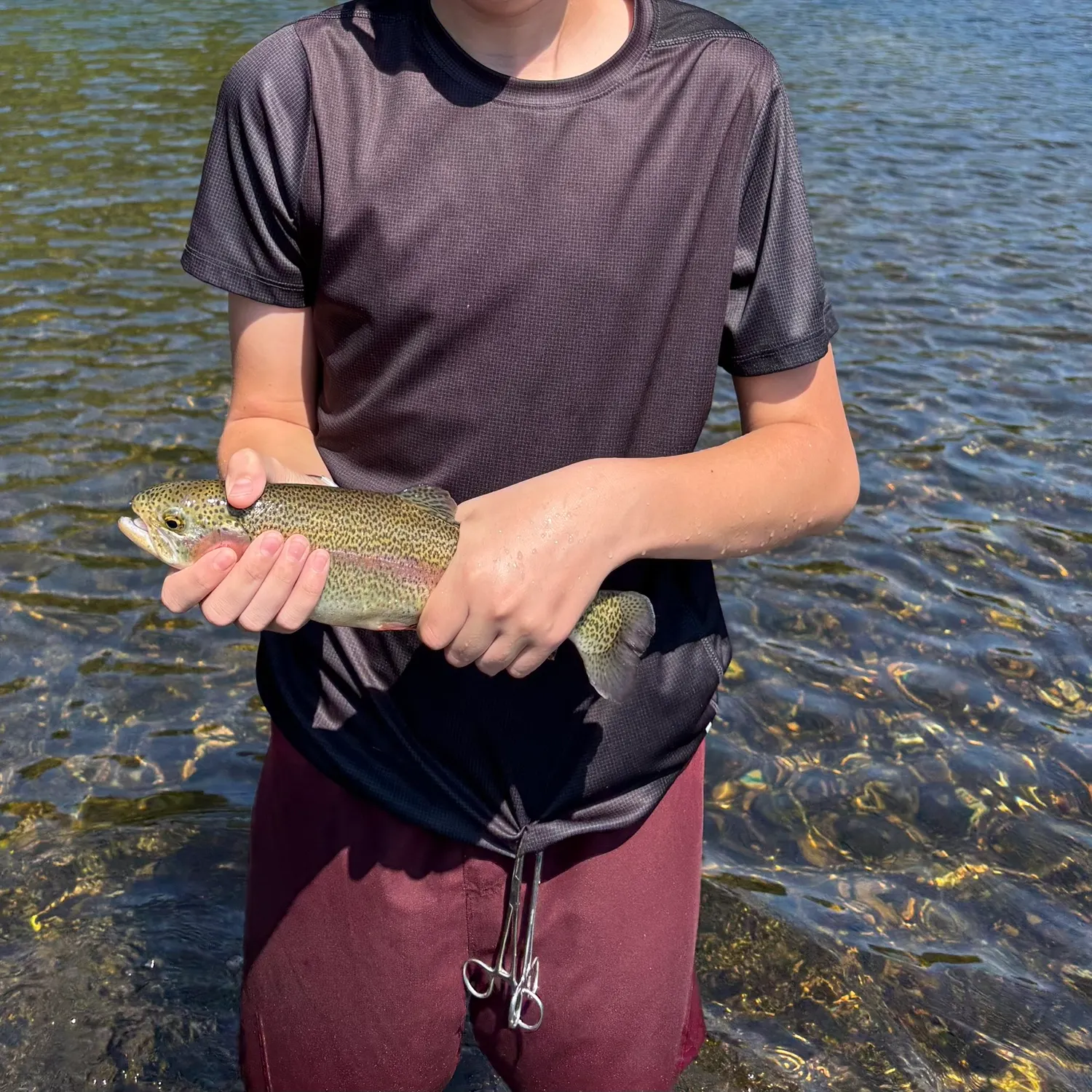 Rainbow trout caught on Fishbrain