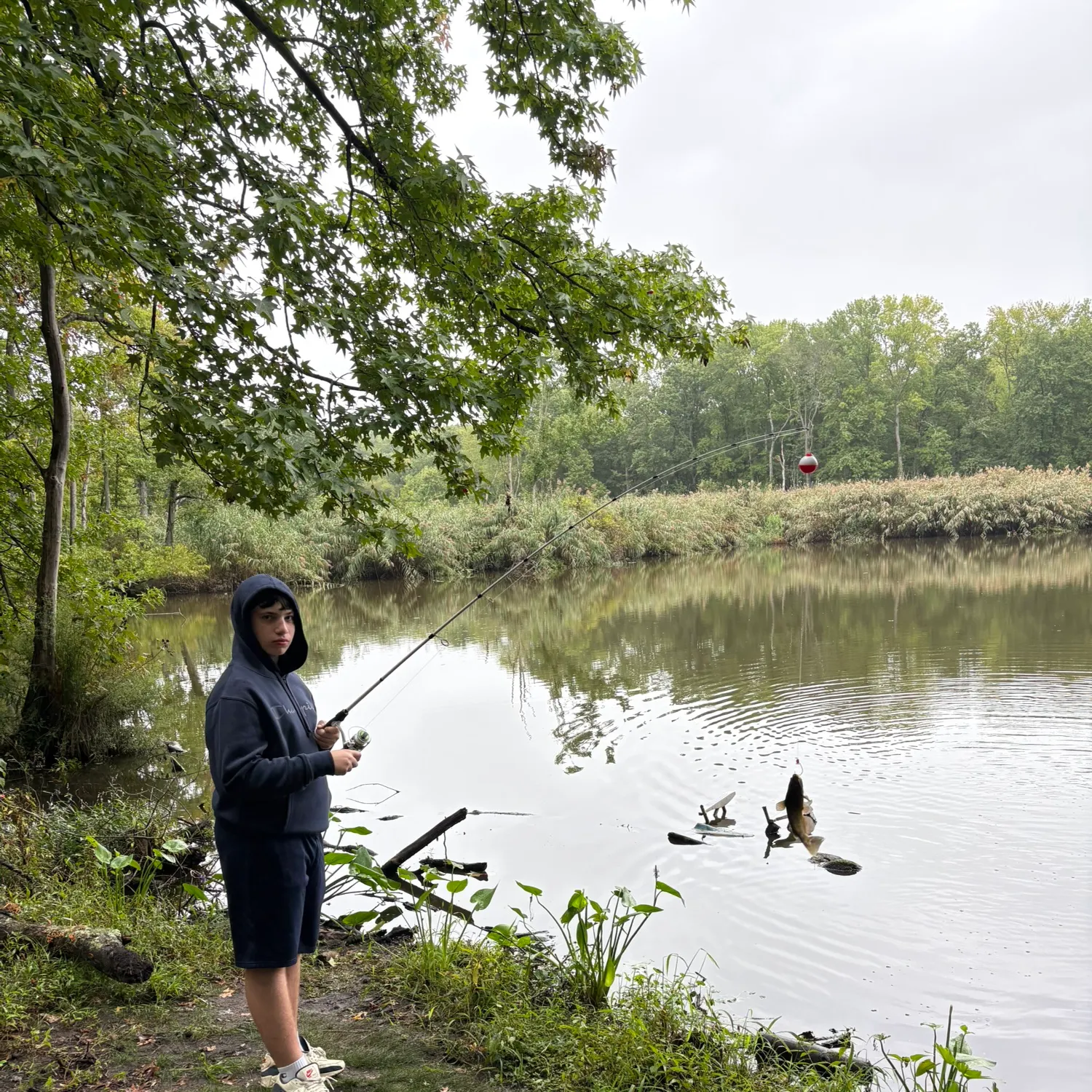 Fish caught on Fishbrain