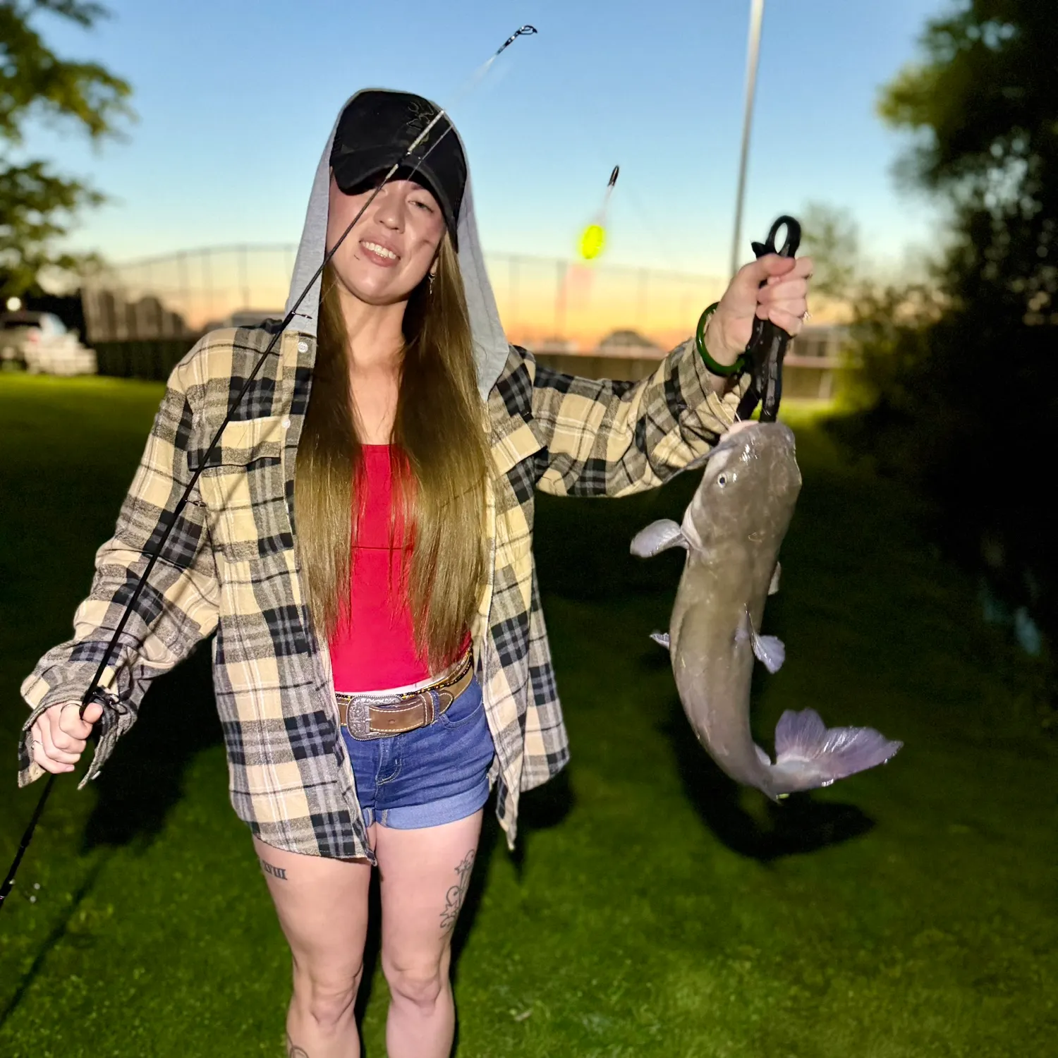 Channel catfish caught on Fishbrain