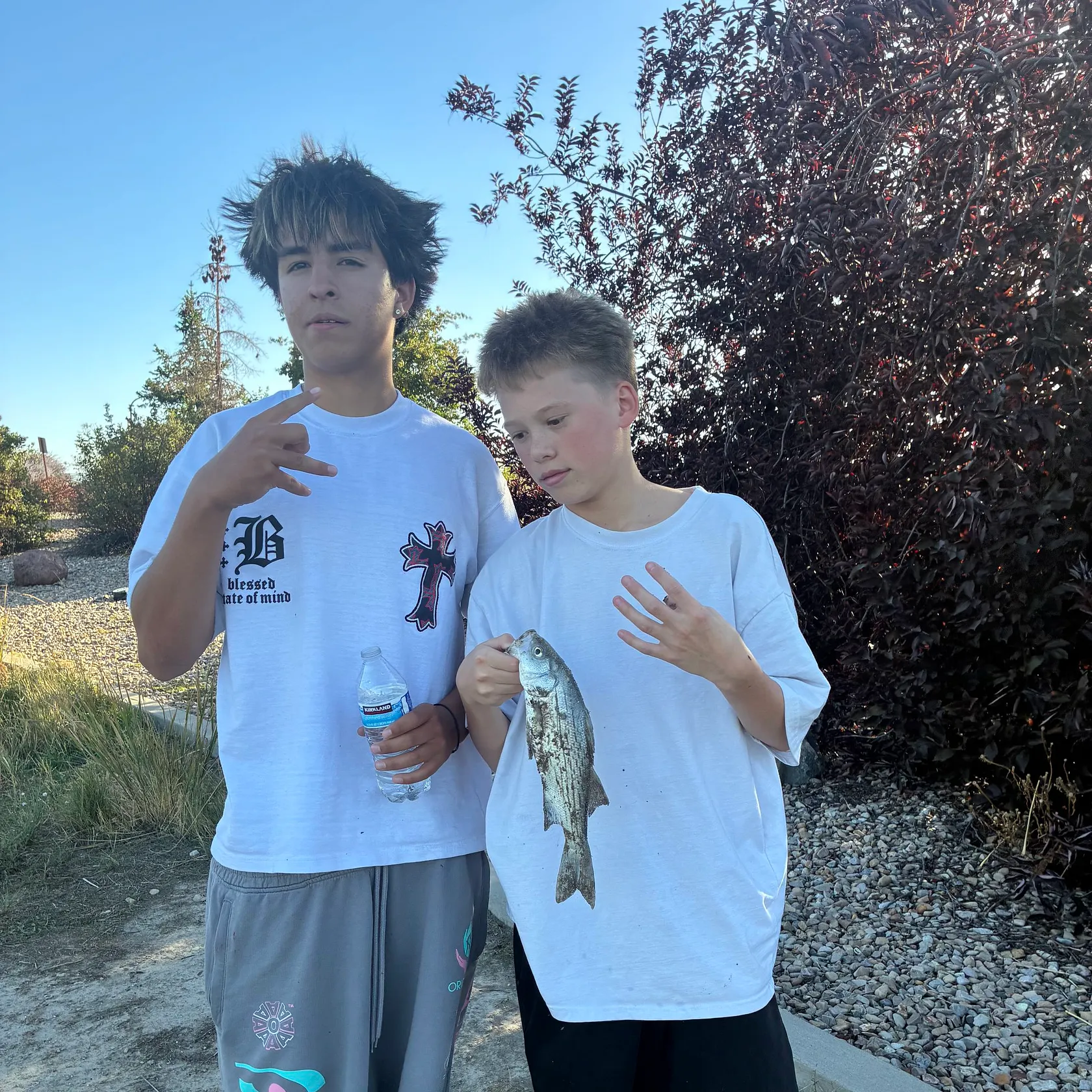 Wiper caught on Fishbrain