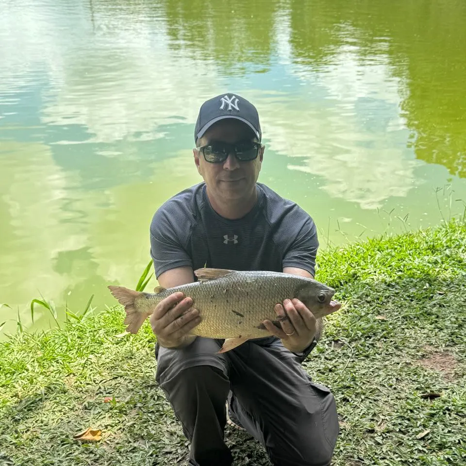 The most recent Matrichan catches on Fishbrain