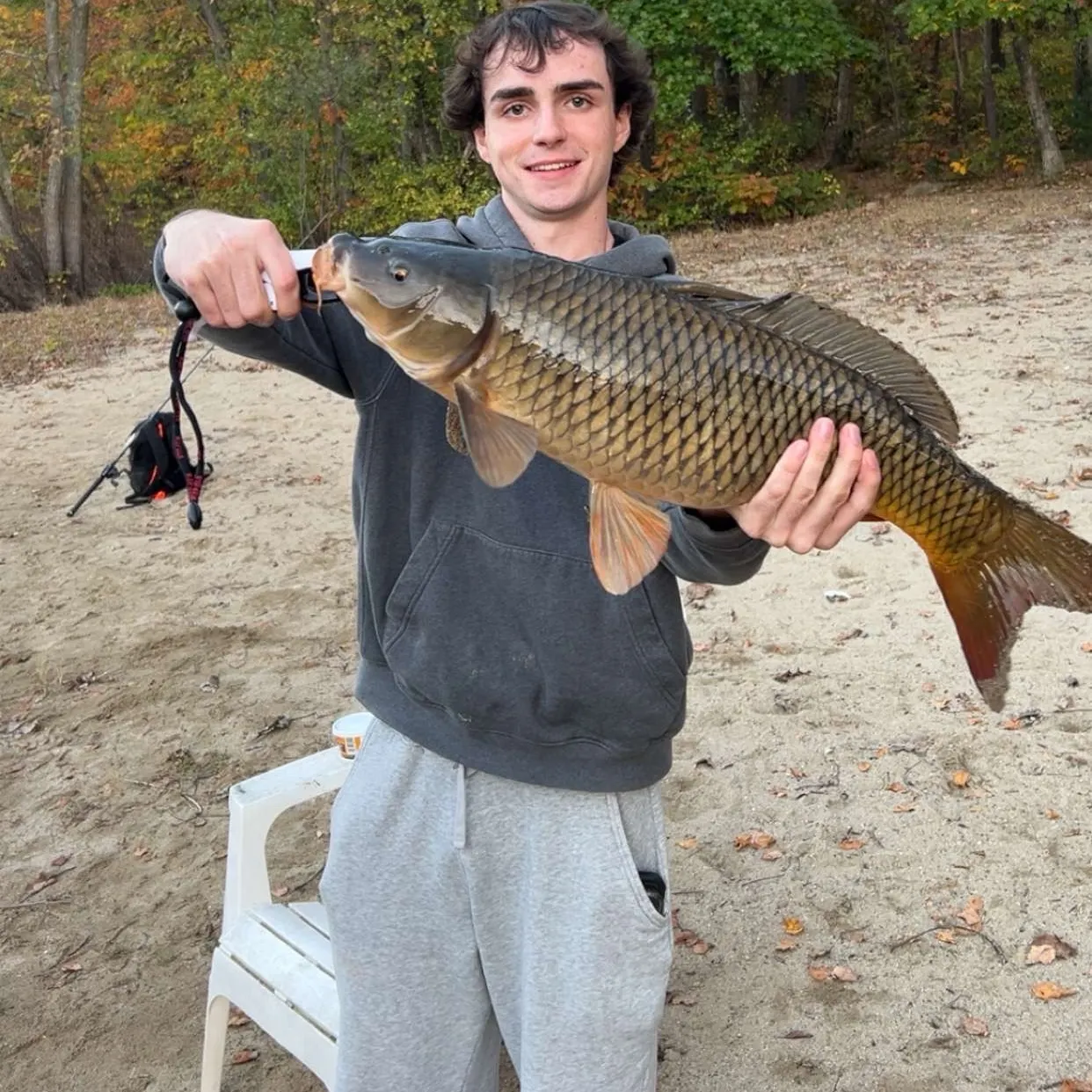 Common carp caught on Fishbrain