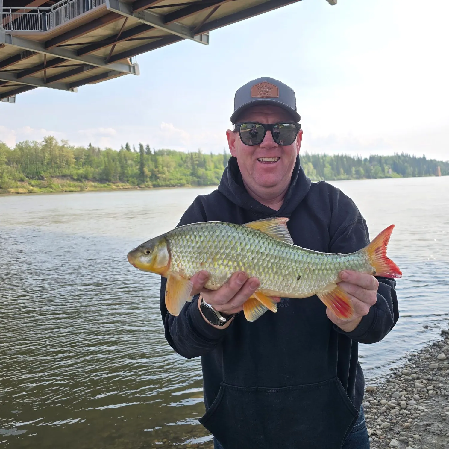 The most recent Greater redhorse catches on Fishbrain