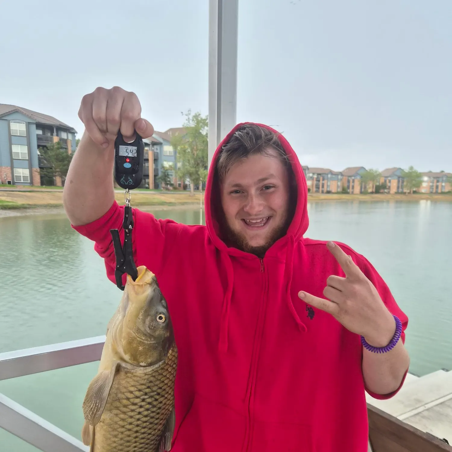 Common carp caught on Fishbrain