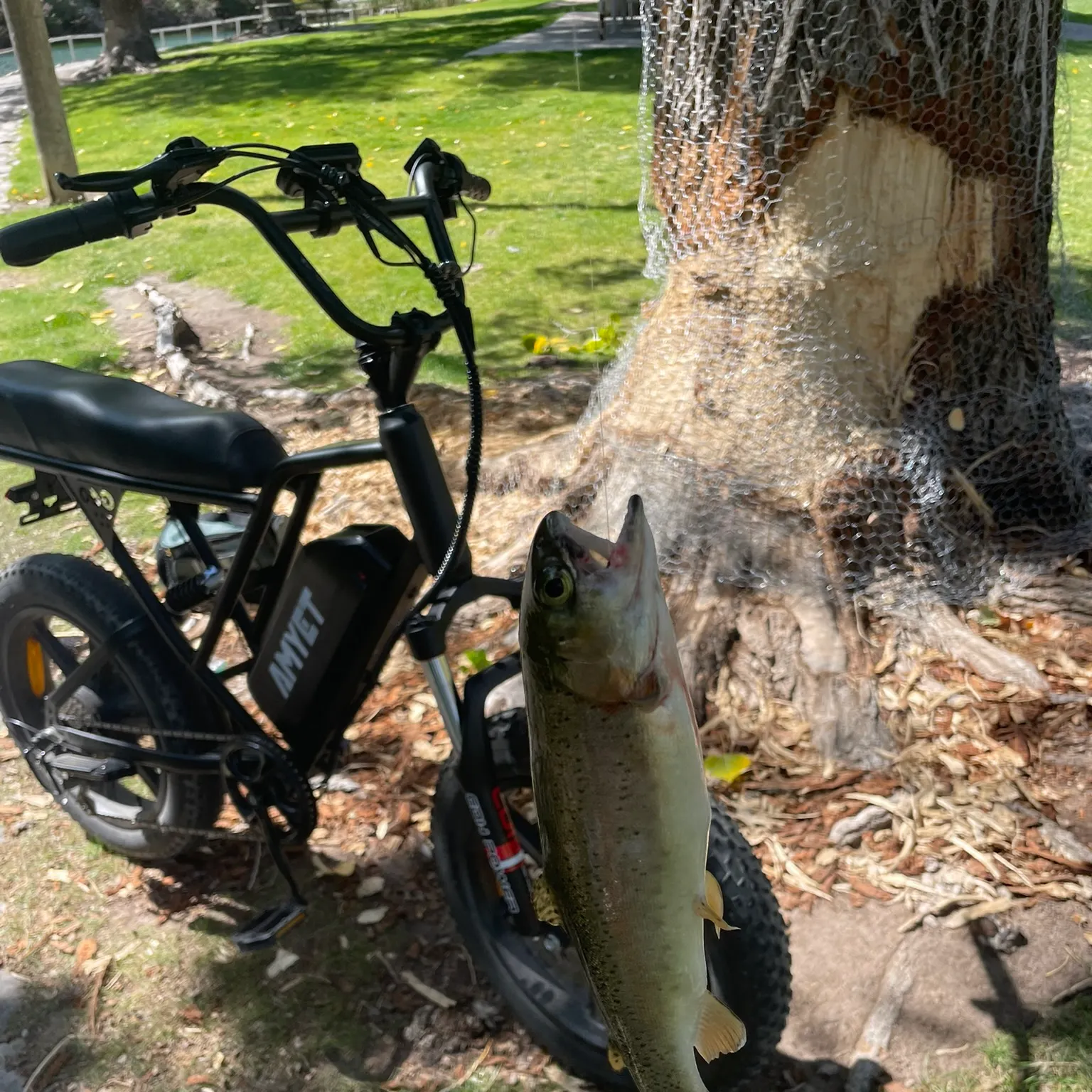 The most recent Cutthroat trout catches on Fishbrain