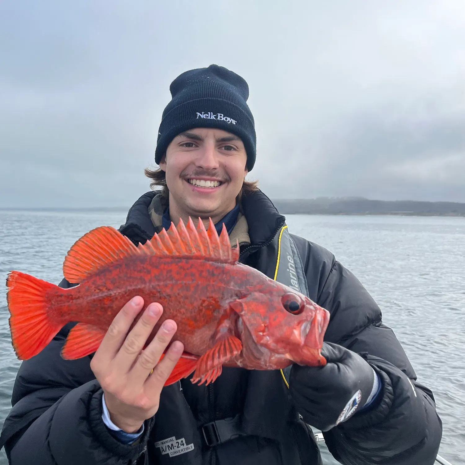 The most recent Vermilion rockfish catches on Fishbrain