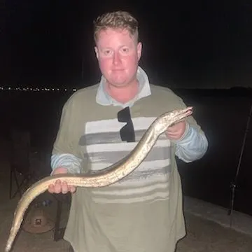 The most recent Common pike conger catches on Fishbrain