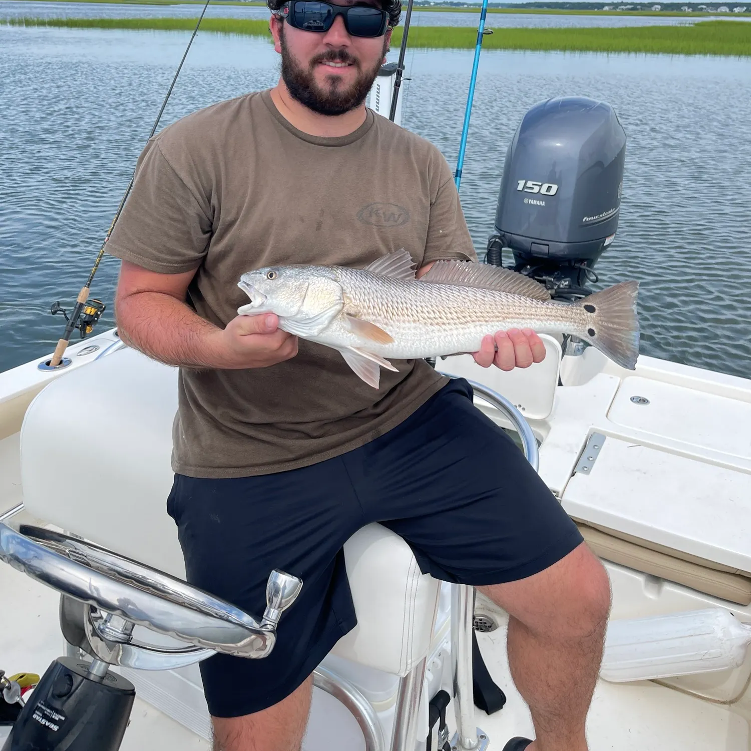 The most recent Red drum catches on Fishbrain