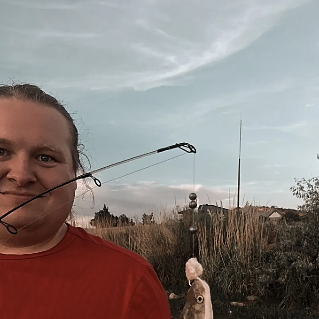 The most recent Virgin chub catches on Fishbrain