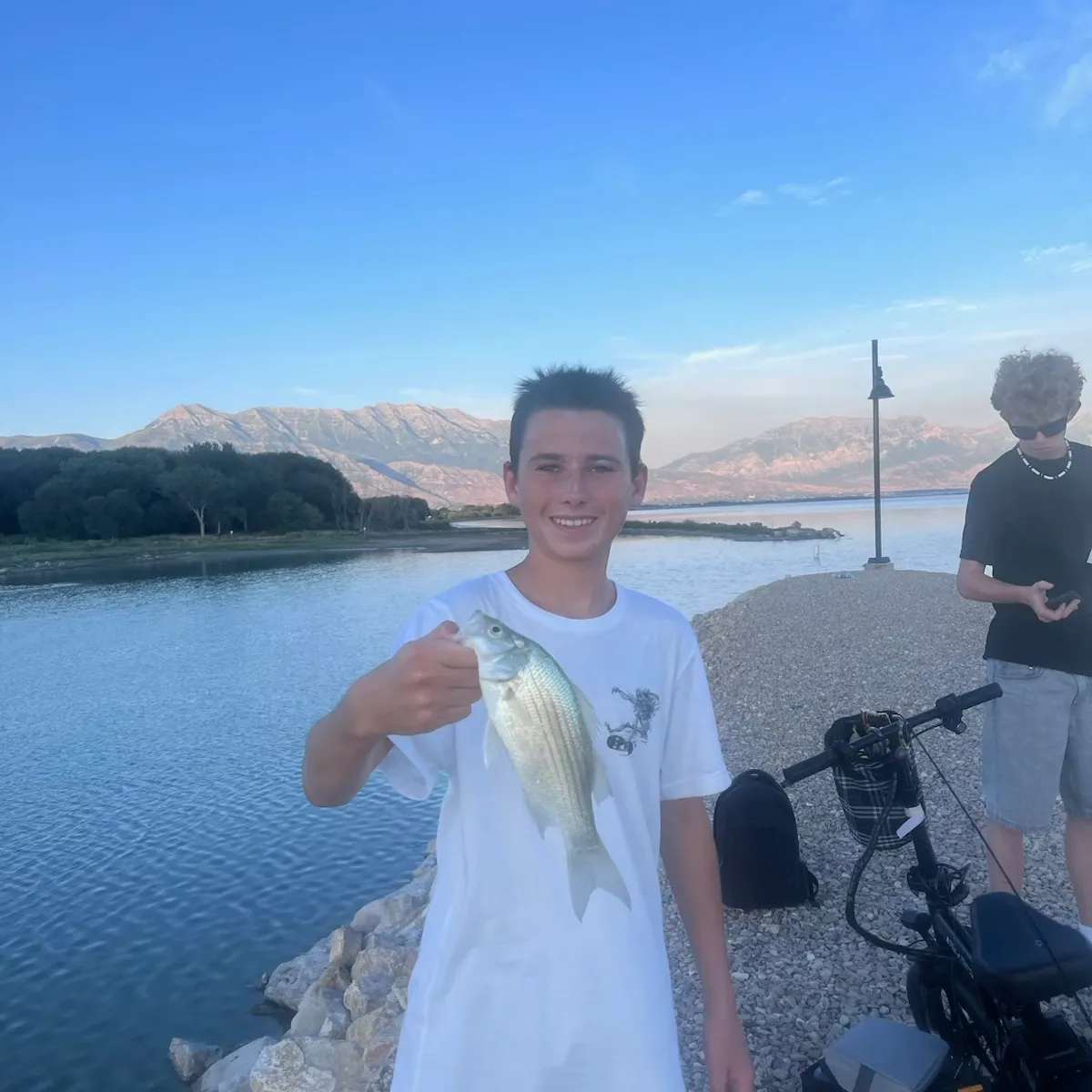 The most recent White bass catches on Fishbrain