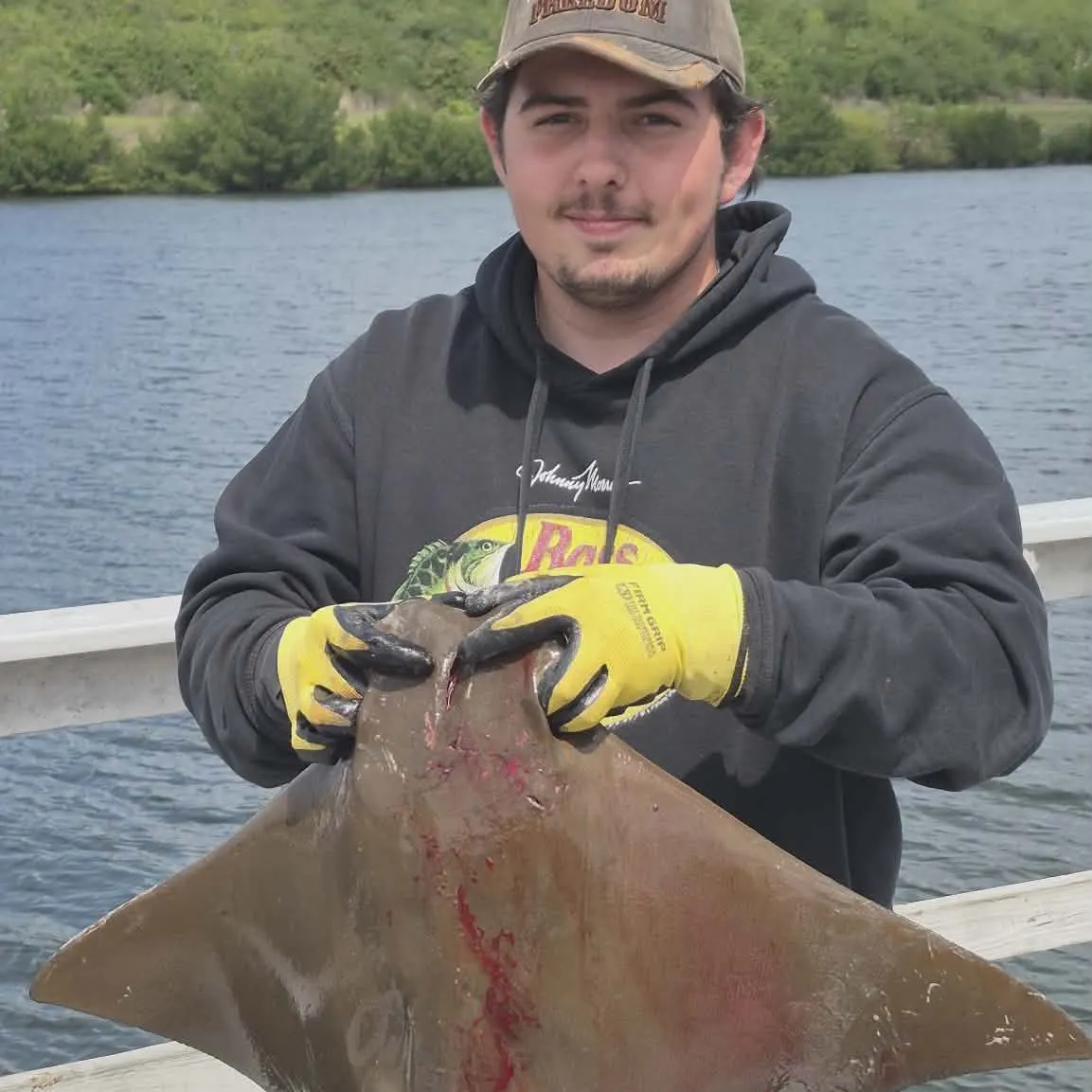 The most recent Cownose Ray catches on Fishbrain