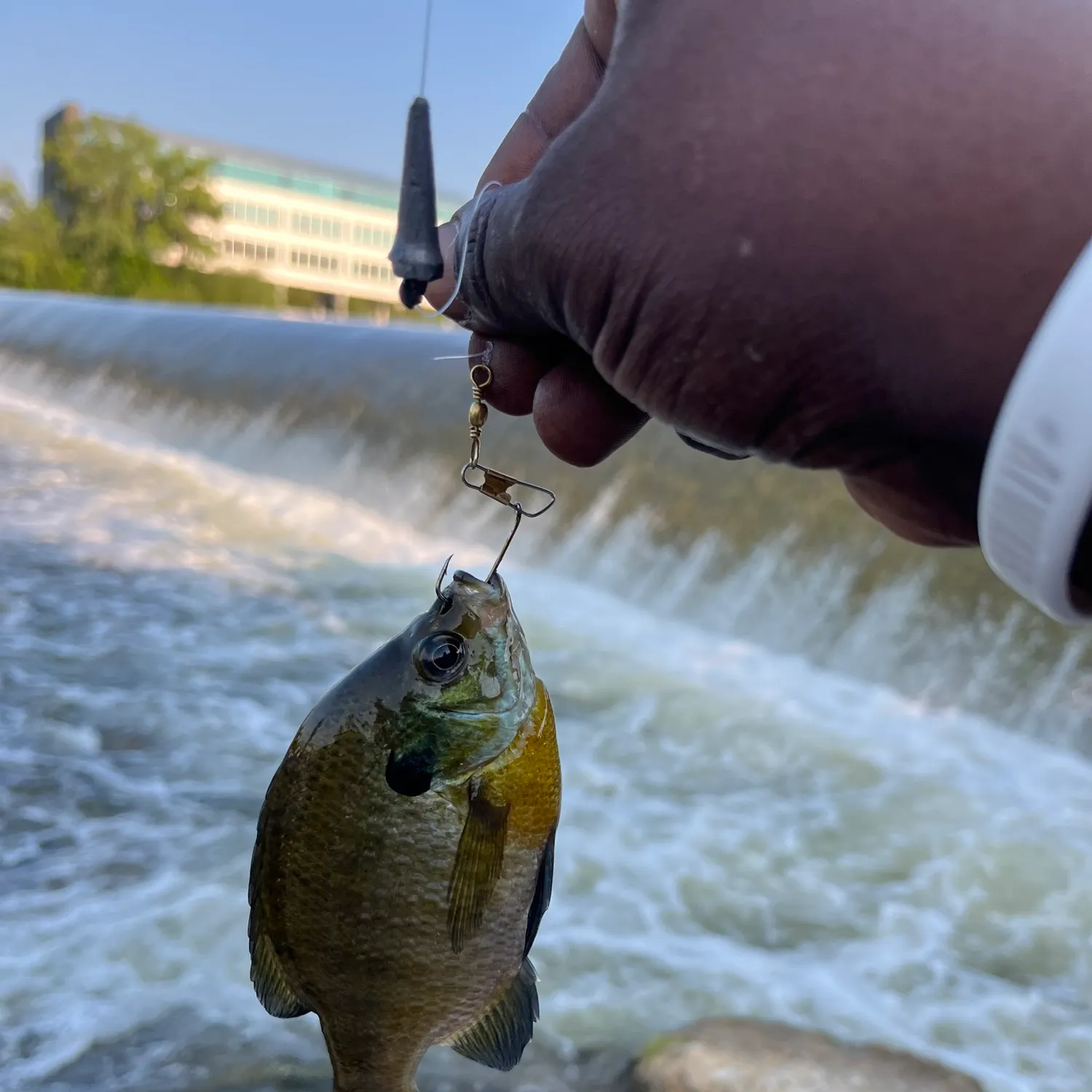 catch